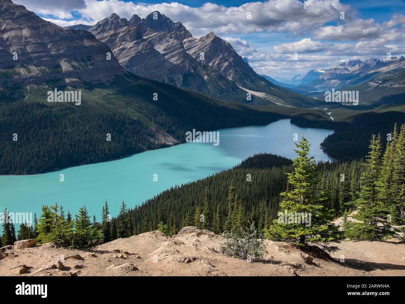 Peyto Lake und Mount Patterson, Waputik Range, Banff National Park, Canadian Rockies, Alberta, Kanada Stockfoto