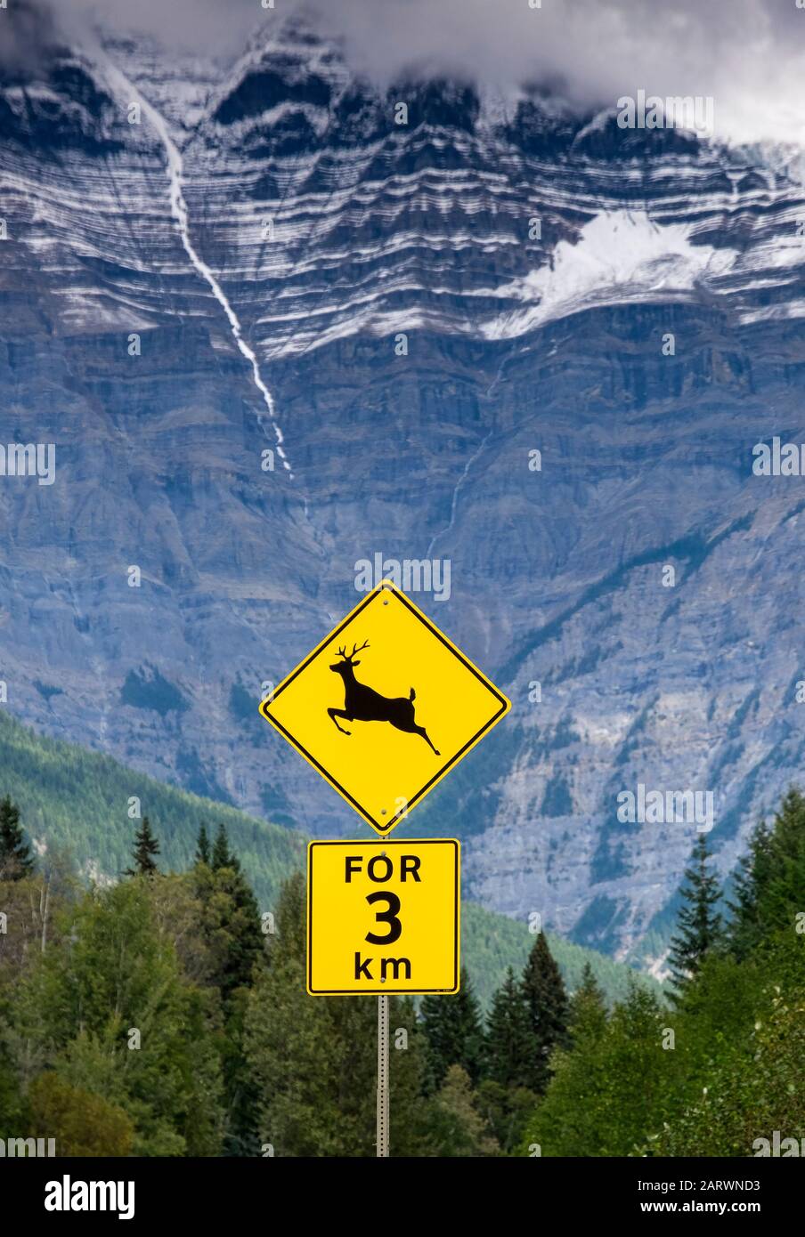 Elk Crossing Highway Zeichen Sie im Schatten von Mount Robson, Mount Robson Provincial Park, Canadian Rockies, British Columbia, Kanada Stockfoto