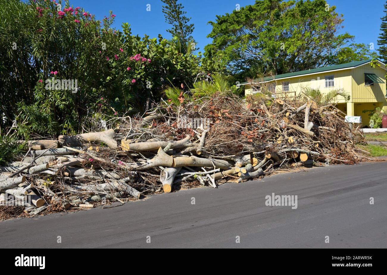 Anna MARIA ISLAND, FL - 2. Oktober 2017:Nachwirkungen des Hurrikans Irma auf Anna Maria Island, Florida. Es bleiben Pfähle von Bäumen, Ästen und Trümmern übrig, um kl zu sein Stockfoto