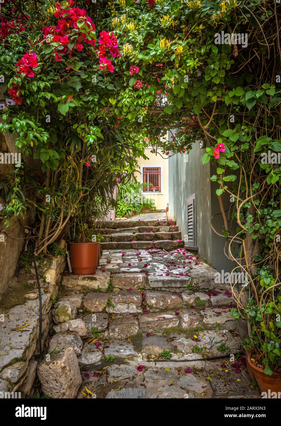 Alte schmale Straße mit Blumen im Stadtteil Plaka, Athen, Griechenland. Plaka ist eine der wichtigsten Touristenattraktionen Athens. Schöne malerische Gasse wie Stockfoto