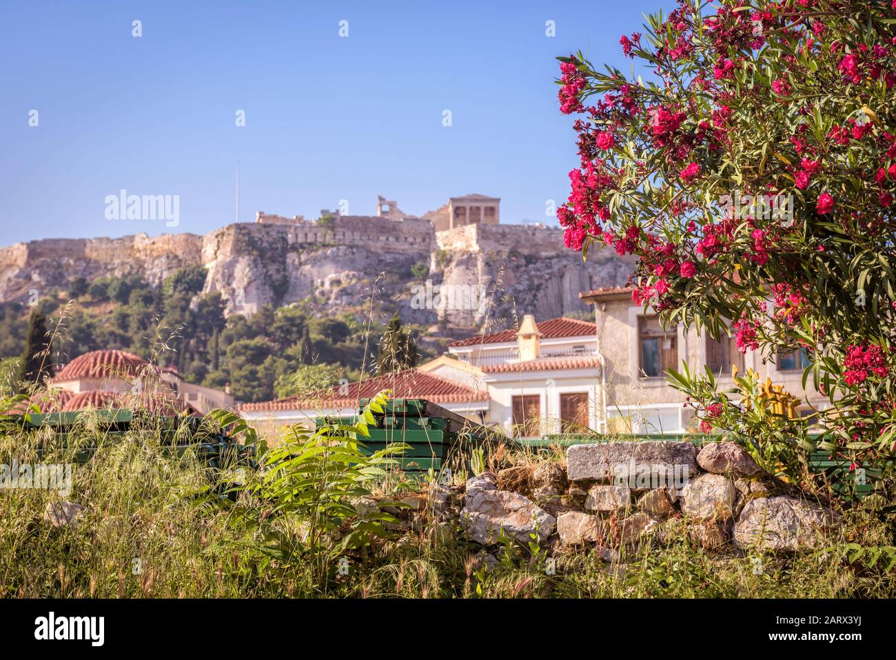 Antike griechische Ruinen mit Blumen mit Blick auf die Akropolis, Athen, Griechenland. Die berühmte Akropolis ist die wichtigste Touristenattraktion Athens. Landschaftlich schönes wunderschönes Fu Stockfoto