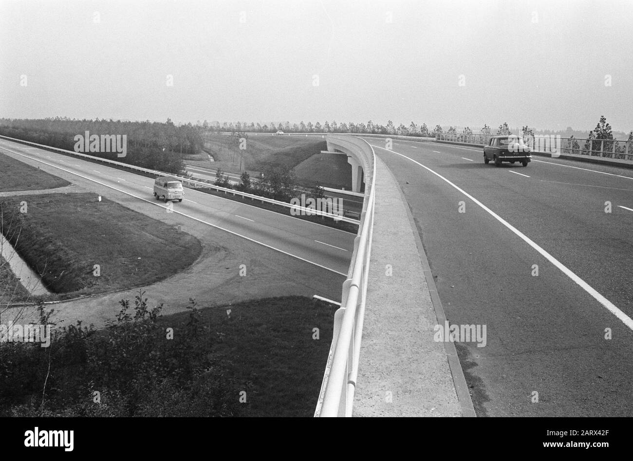 Rijksweg A4 Amsterdam - den Haag Auf der Höhe von Nieuw-Vennep Datum: 16. Oktober 1966 Standort: Nieuw-Vennep, Noord-Holland Schlagwörter: Autos, Autobahnen, Viadukte Stockfoto