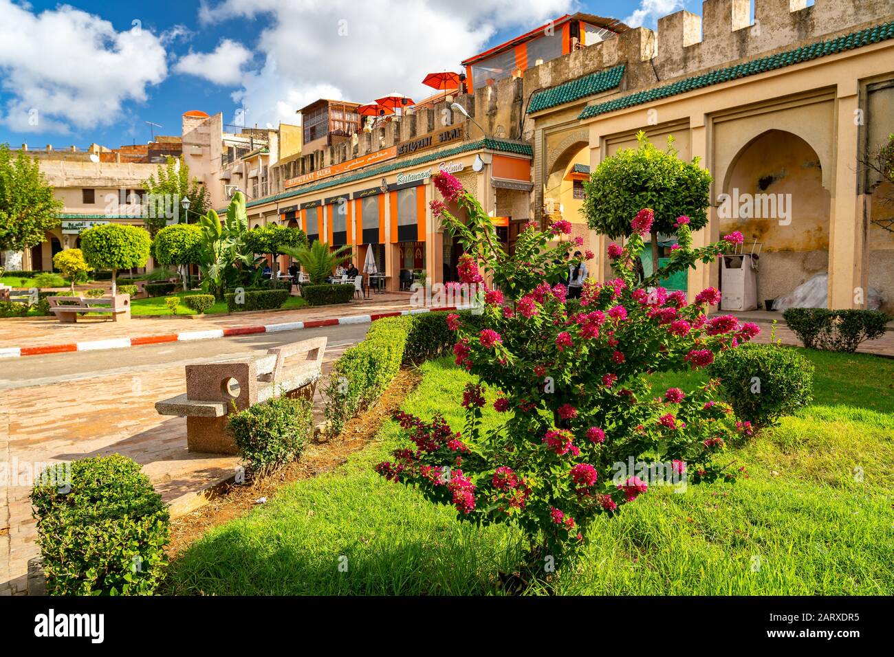 Meknes, Marokko - Farbenfrohe Blumen in der Nähe der Wände der Altstadt Stockfoto