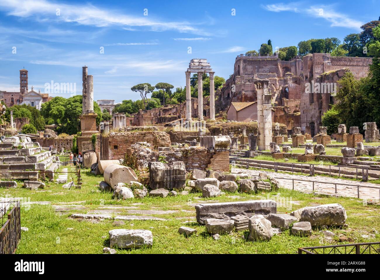 Blick auf das Forum Romanum im Sommer, Rom, Italien. Es ist eine der beliebtesten Touristenattraktionen Roms. Landschaftlich schöner Blick auf die alten Ruinen Roms. Berühmte Überreste von Stockfoto