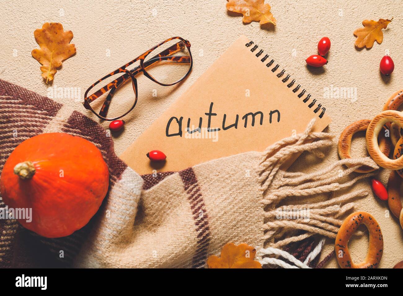 Schöne Herbstkomposition mit Notizbuch, Schal und Brille auf Farbhintergrund Stockfoto