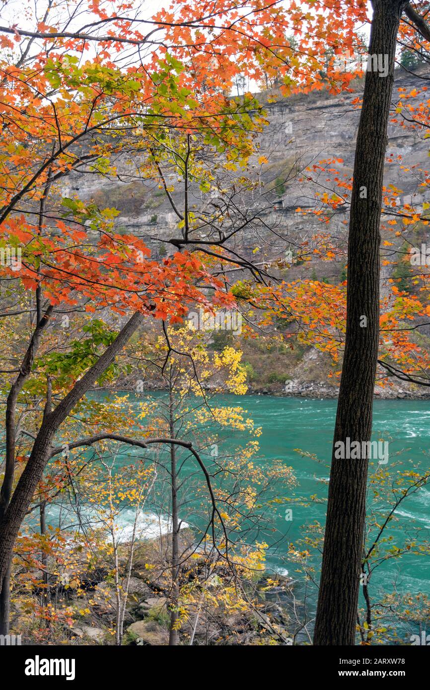 Der Niagara River und die bunten Ahorn-Bäume, die im Herbst vom Niagara Glen aus gesehen wurden, einer Gegend, die auf der Seite von Ontario bei Wanderern und Felskletterern beliebt ist. Stockfoto