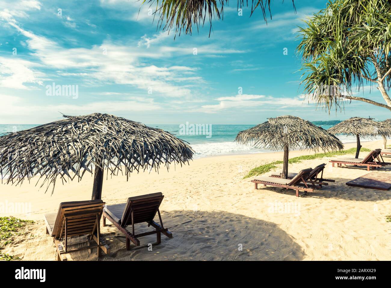 Strandliegen mit Sonnenschirmen am tropischen Strand in Sri Lanka. Schöner Blick auf einen Sandstrand mit Palmen. Schöner Strand im Sonnenlicht. Resort Beac Stockfoto