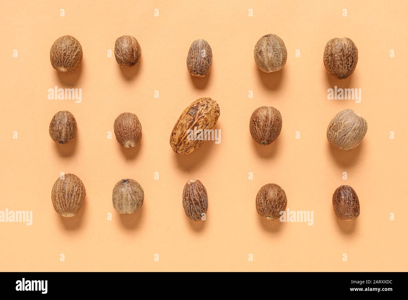 Große Nuss unter kleinen auf Farbhintergrund. Konzept der Einzigartigkeit Stockfoto