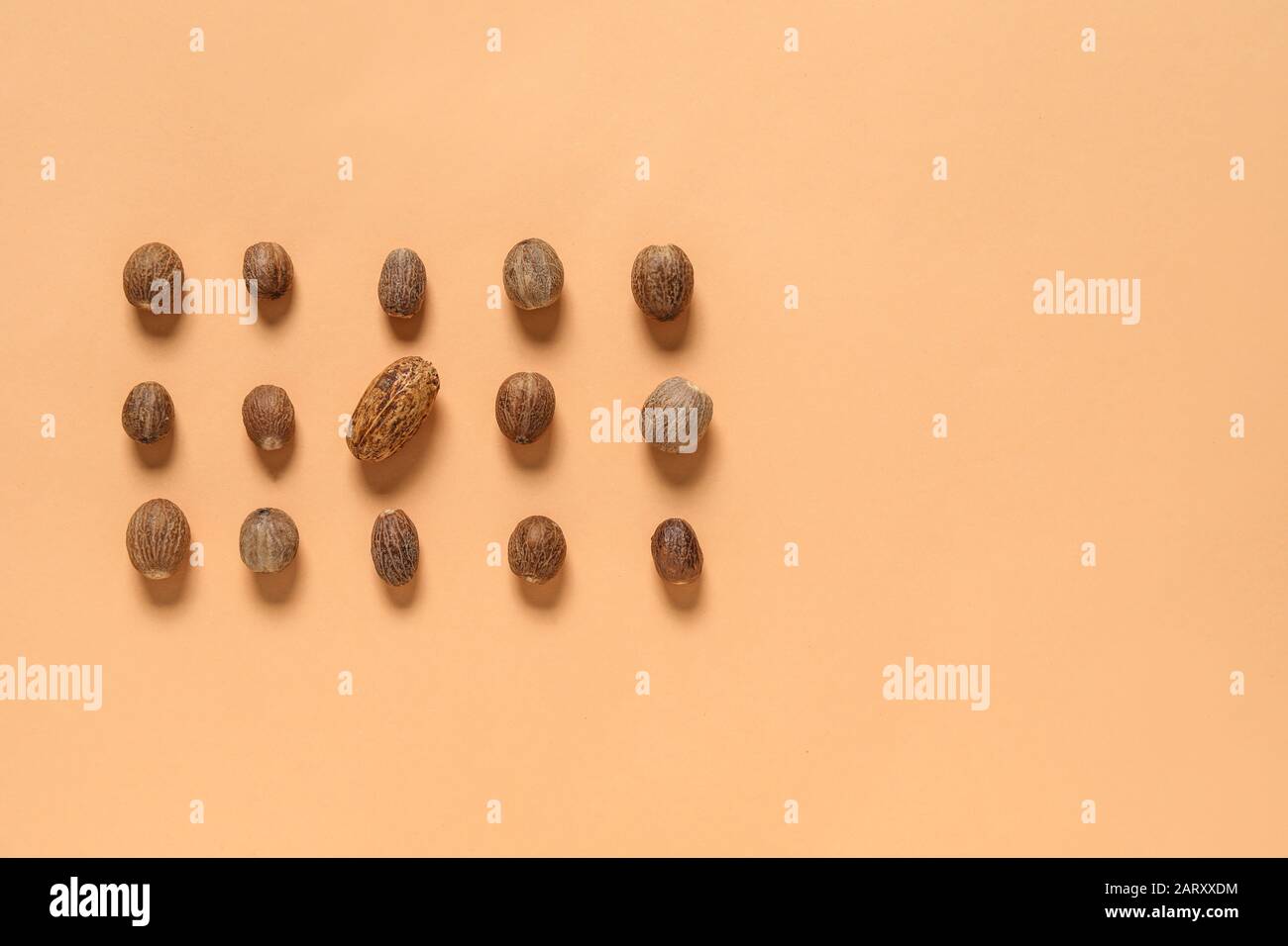 Große Nuss unter kleinen auf Farbhintergrund. Konzept der Einzigartigkeit Stockfoto