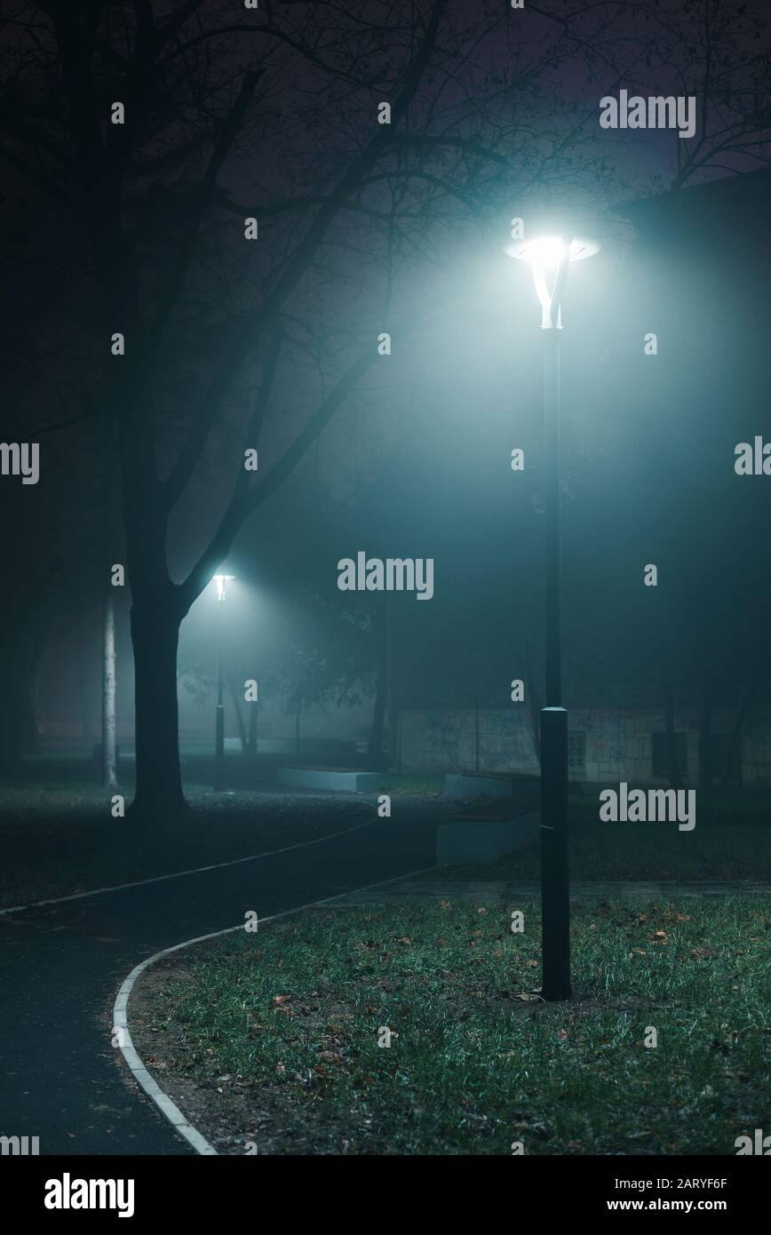 Lampenfieber im Park in einer nebligen Nacht Stockfoto