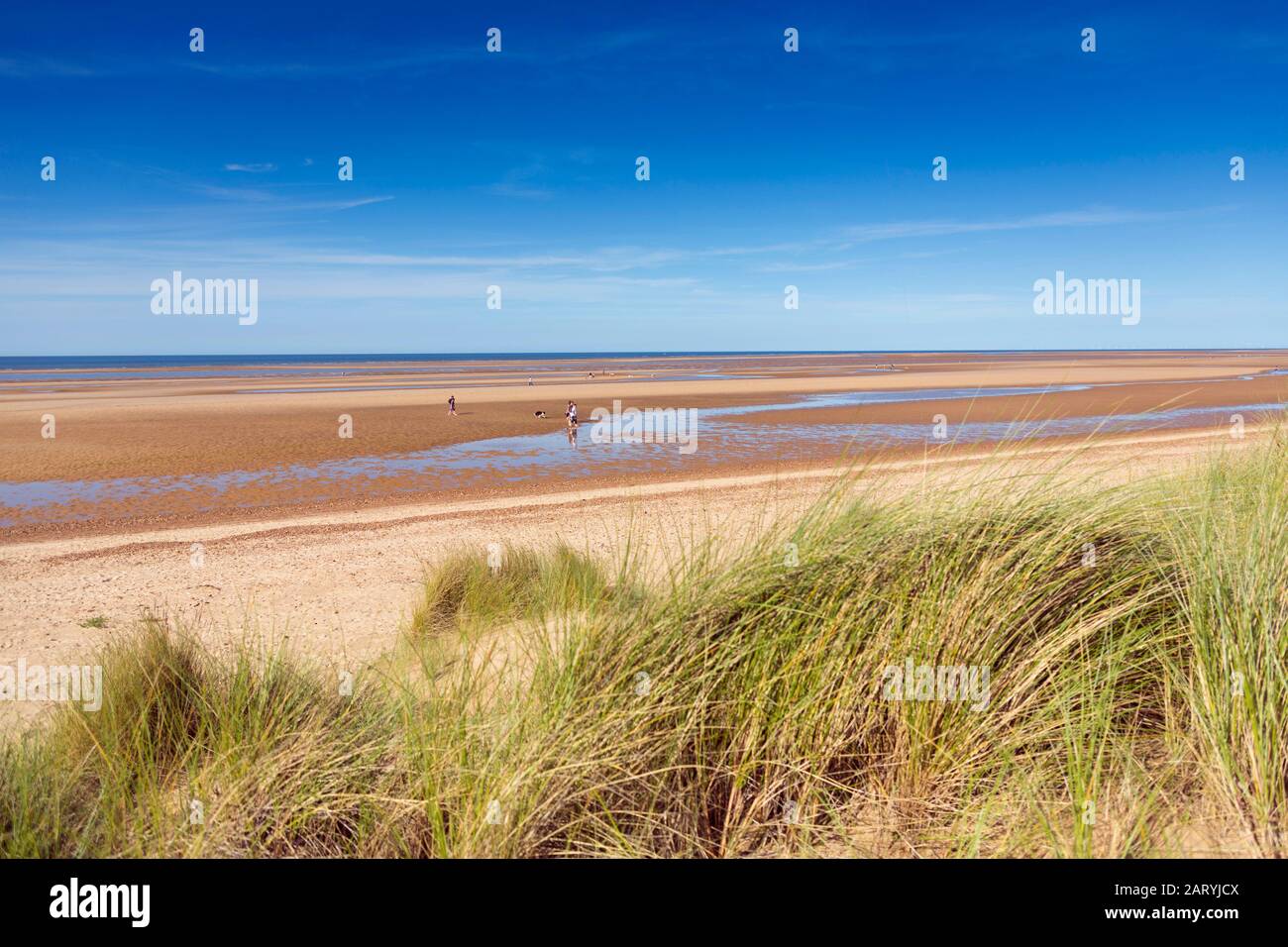 Der Strand und das Marramgras auf Dünen in Holkham, Norfolk, Großbritannien Stockfoto