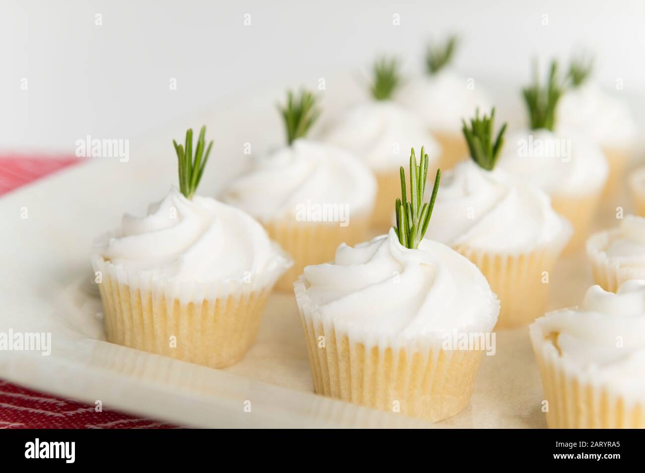 Tablett mit weißen Cupcakes Stockfoto