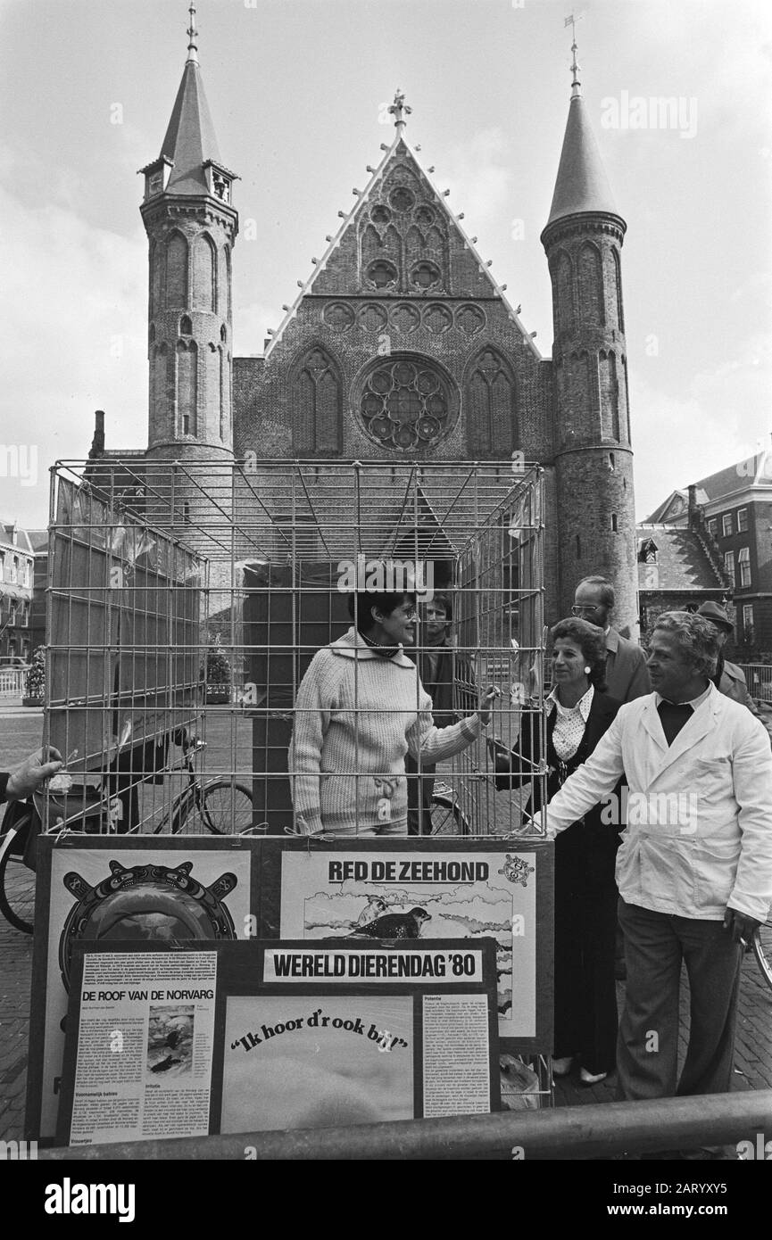 Frau demonstrierte in Haagse Binnenhof gegen Bioindustrie und Naturschutz, die Frau in einem großen Käfig am Binnenhof Datum: 3. Oktober 1980 Ort: Binnenhof, den Haag, Zuid-Holland Schlüsselwörter: Demonstrationen, Käfige, Frauen Stockfoto