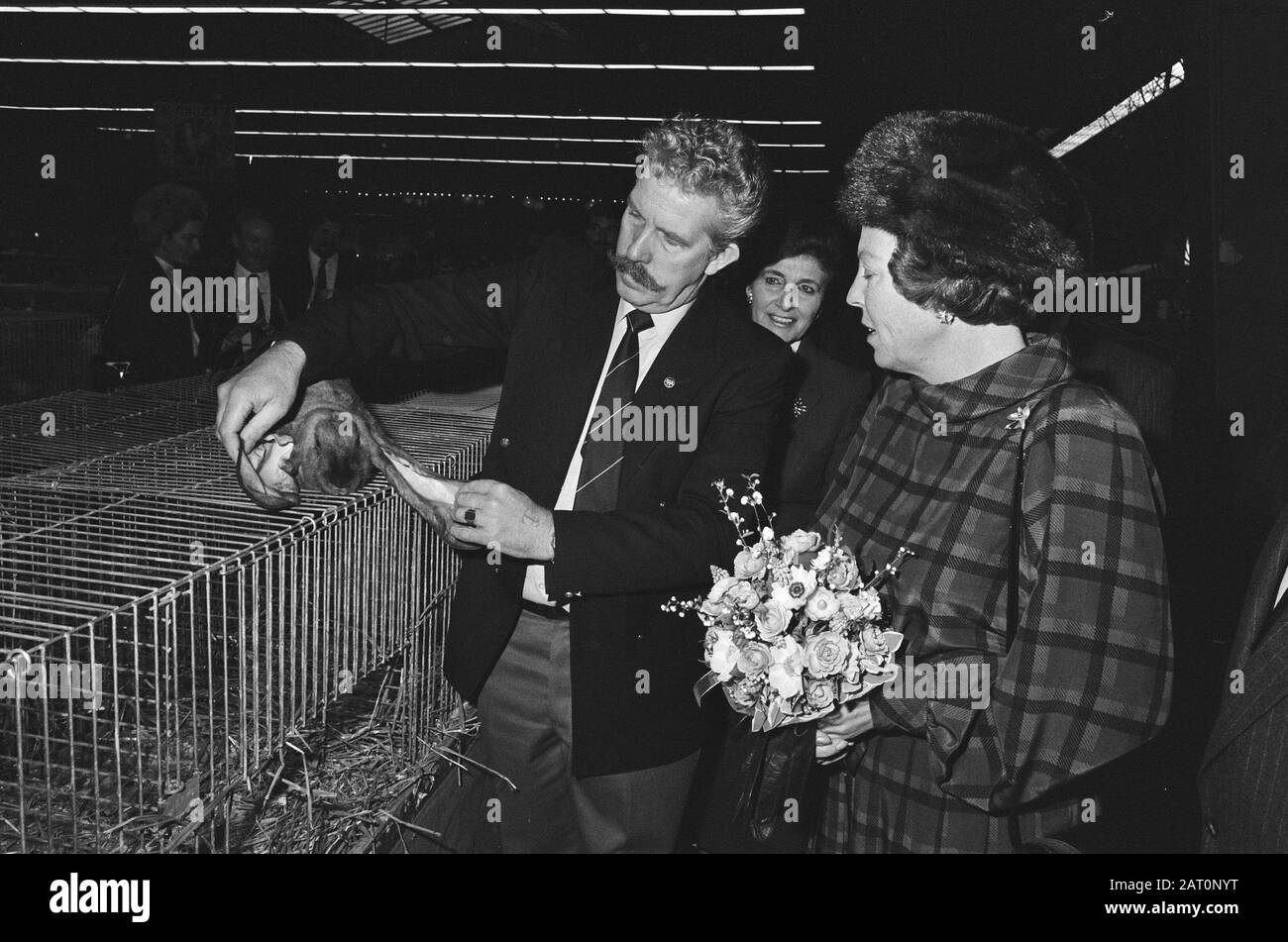 Königin Beatrix eröffnete in den Haag die Jubiläumsausstellung des Königlichen niederländischen Vereins Avicultura EIN Teilnehmer zeigt ein Kaninchendatum: 10. januar 1986 Ort: Den Haag, Zuid-Holland Schlüsselwörter: Kaninchen, Königinnen, Eröffnungen, Ausstellungen persönlicher Name: Beatrix (Königin Niederlande) Stockfoto
