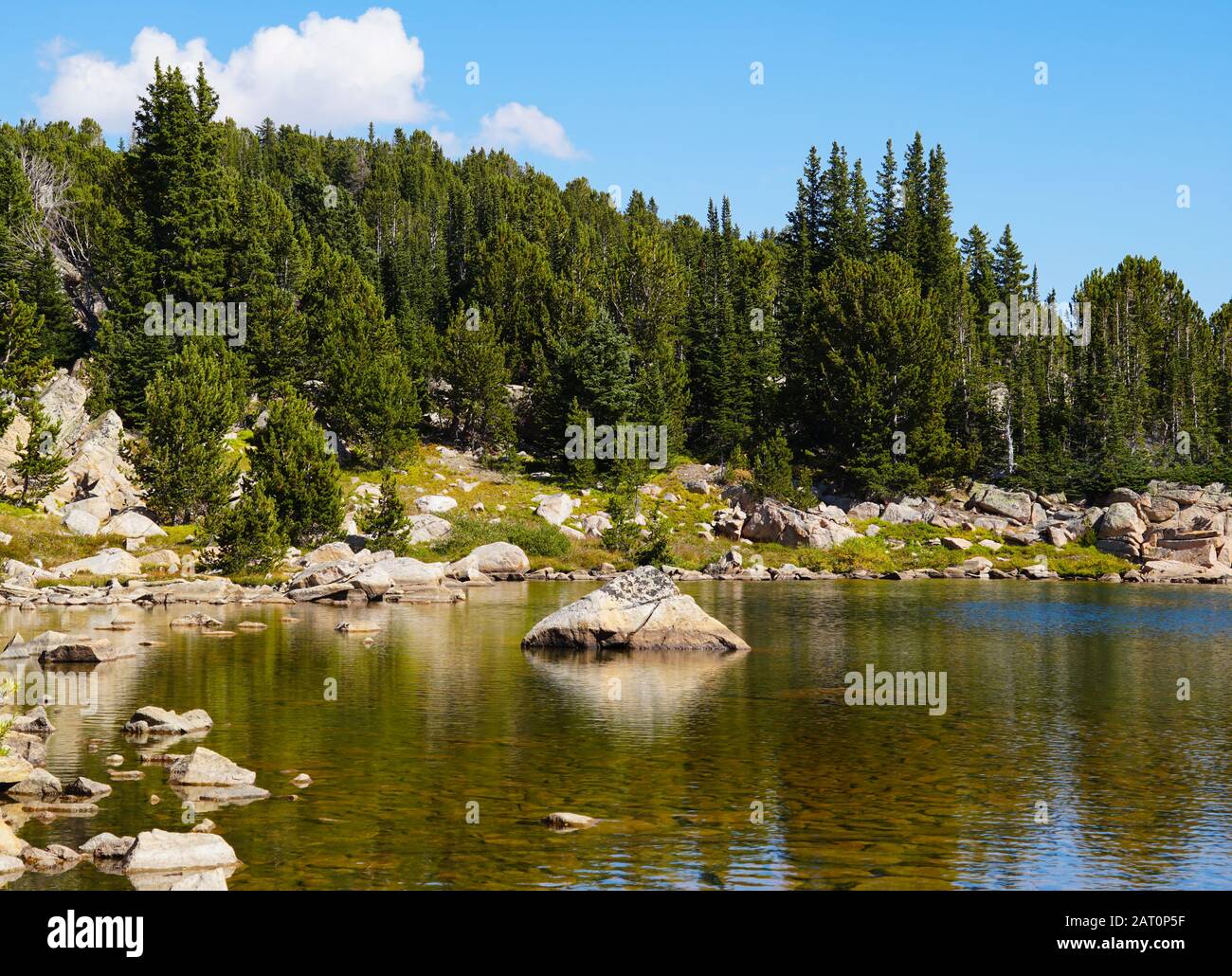 Das kristallklare Wasser eines Bergsees zeigt die Felsen an seinem Grund. Umgeben von einem Pinienwald bietet es eine malerische und ruhige Landschaft. Stockfoto