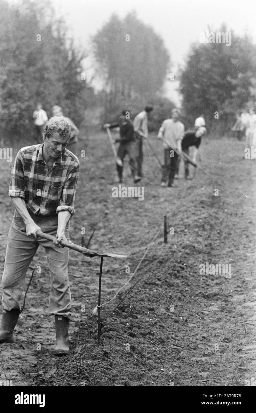 Hazing in the Polder EINE Gruppe von Studenten führen Erdarbeiten Datum: 3. September 1968 Schlüsselwörter: Bodenbearbeitung, Hazing, Studenten Stockfoto