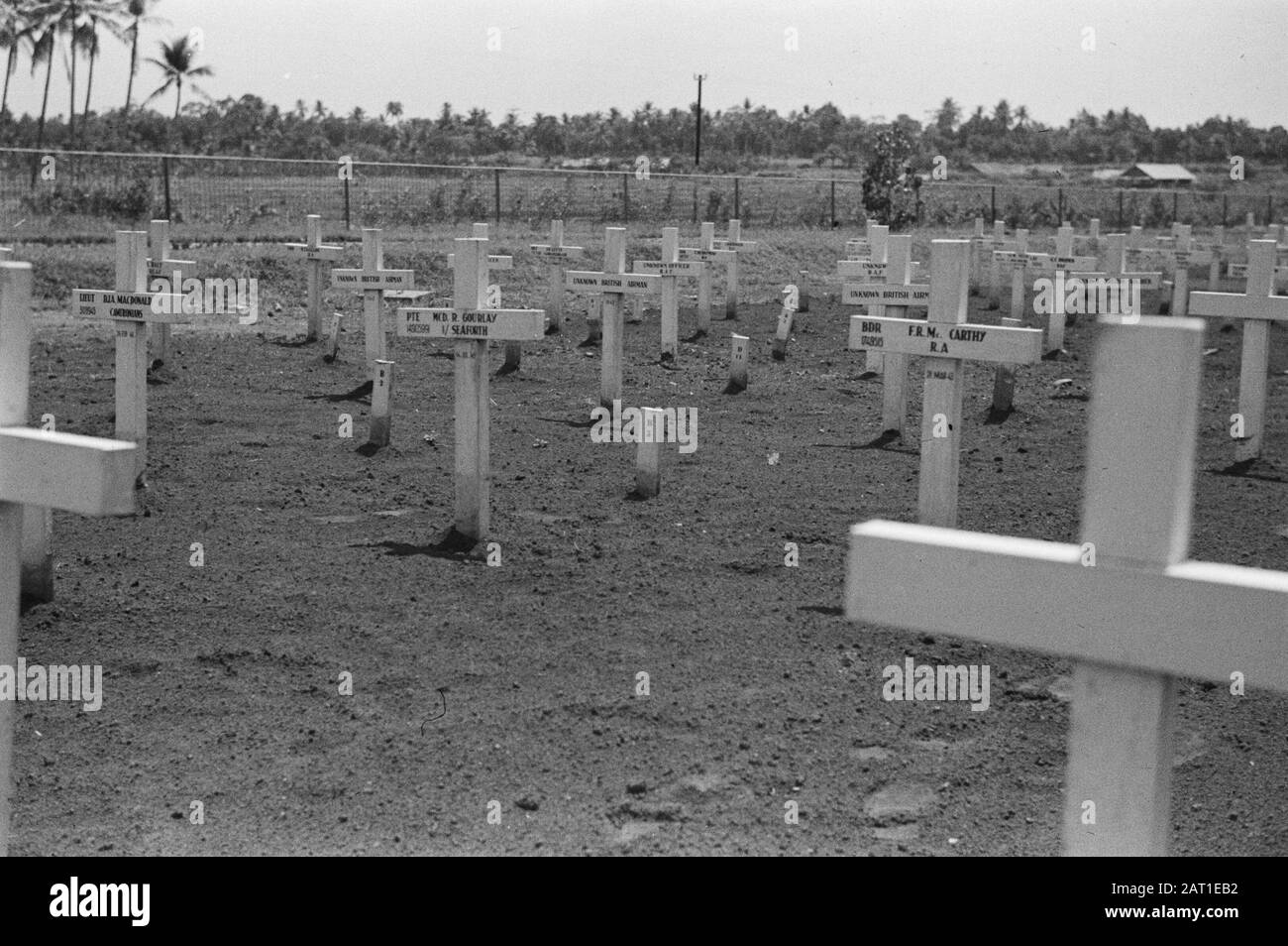 Englisch Teil des Ehrenfeldes Menteng Pulu Englisch Teil des Ehrenfeldes Menteng Pulu Anmerkung: TE zine sind die Gräber von Liehut. D.J.A. Macdonald 308945 Cameronians, Pte MCD. R. Gourlay 14905099 I/Seaforth, BDR F.R.M.Mc Carthy 1749515R.A. Datum: 1946/01/01 Ort: Indonesien, Niederländisch-Ostindien Stockfoto