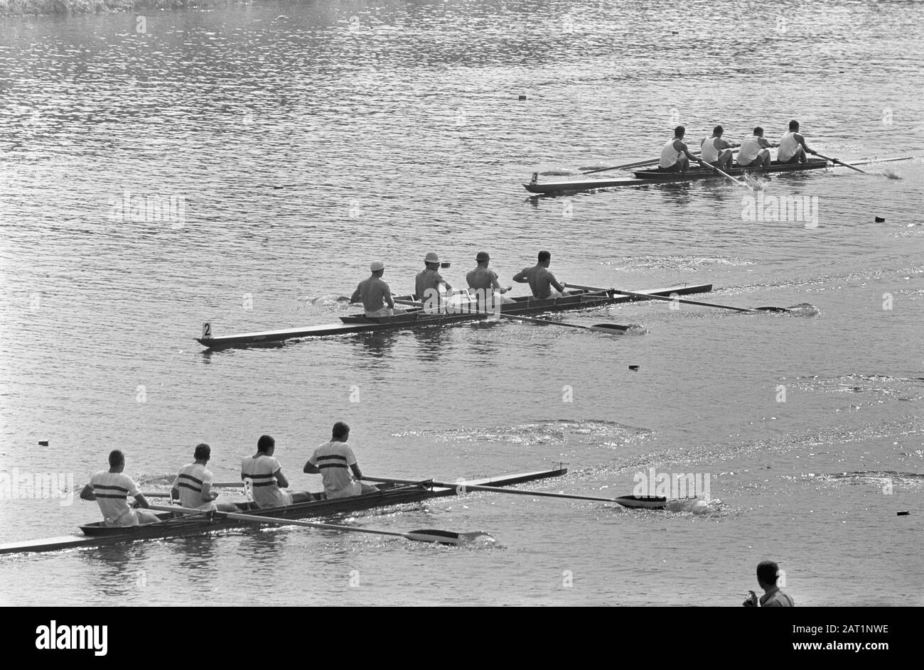 Ruder-Europameisterschaften am Bosbaan, Ziel zweite Runde vier ohne v.b.n.b. Österreich, Niederlande, USA Datum: 6. August 1964 Ort: Amerika, Amsterdamse Bos, Bosbaan, Niederlande, Österreich Schlagwörter: Rudern, Finishing, Meisterschaften Stockfoto