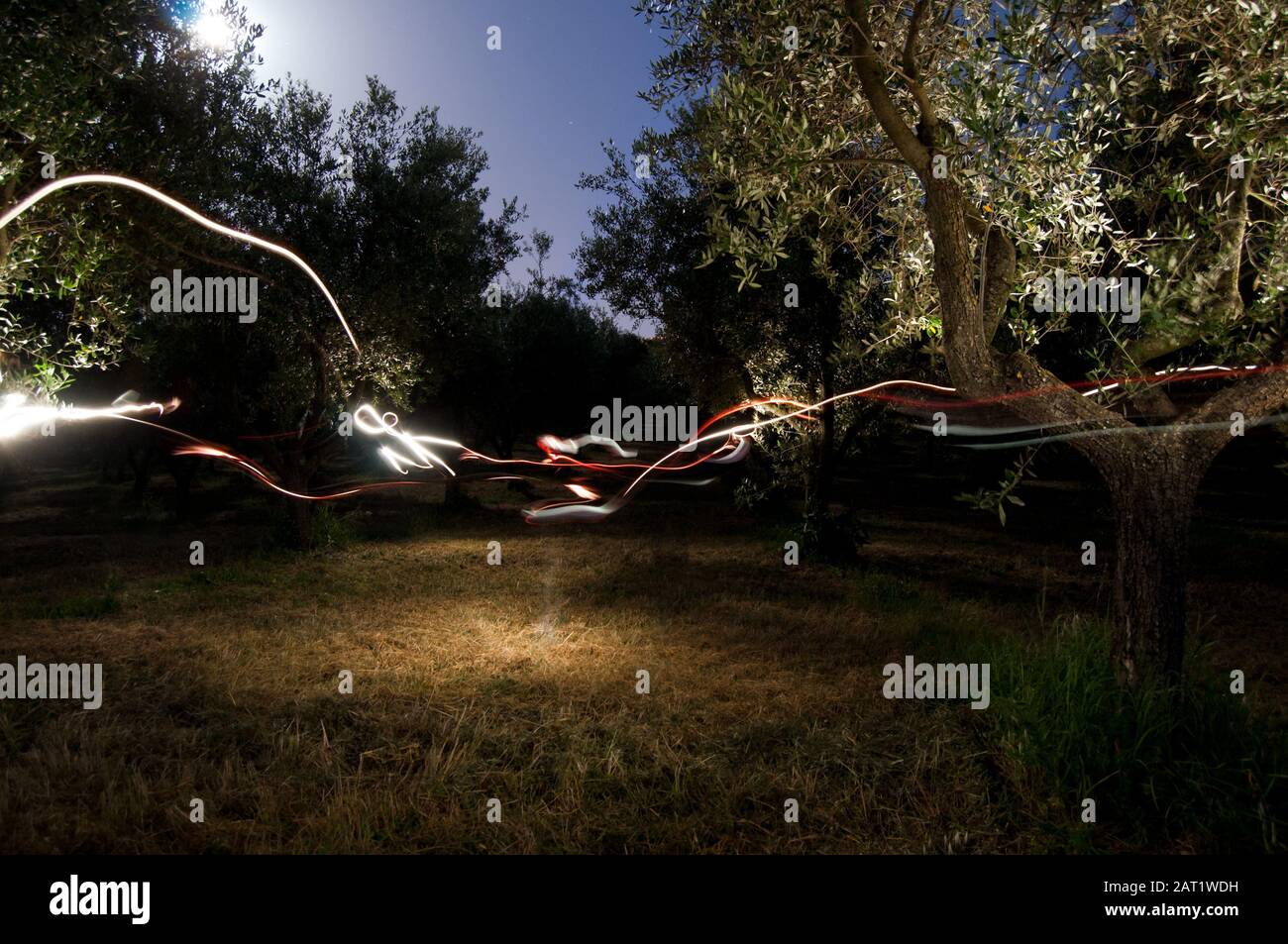 Schöne bunte Lichtmalerkomposition unter den Bäumen Stockfoto