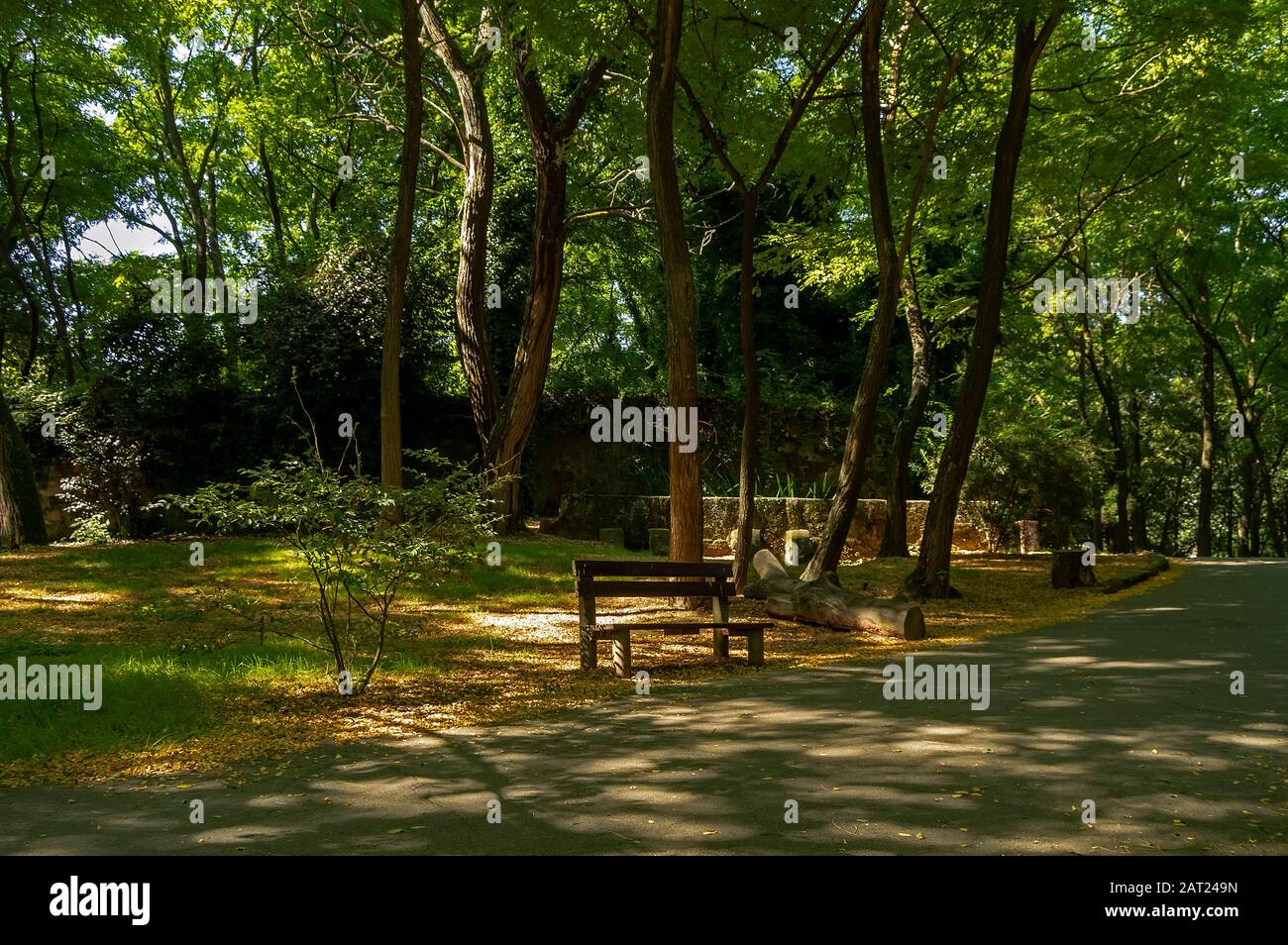 Parque da Lavandeira in Oliveira do Douro, Vila Nova de Gaia, Portugal. Ideal für Spazierwege, Picknickplätze und thematische Gärten. Stockfoto