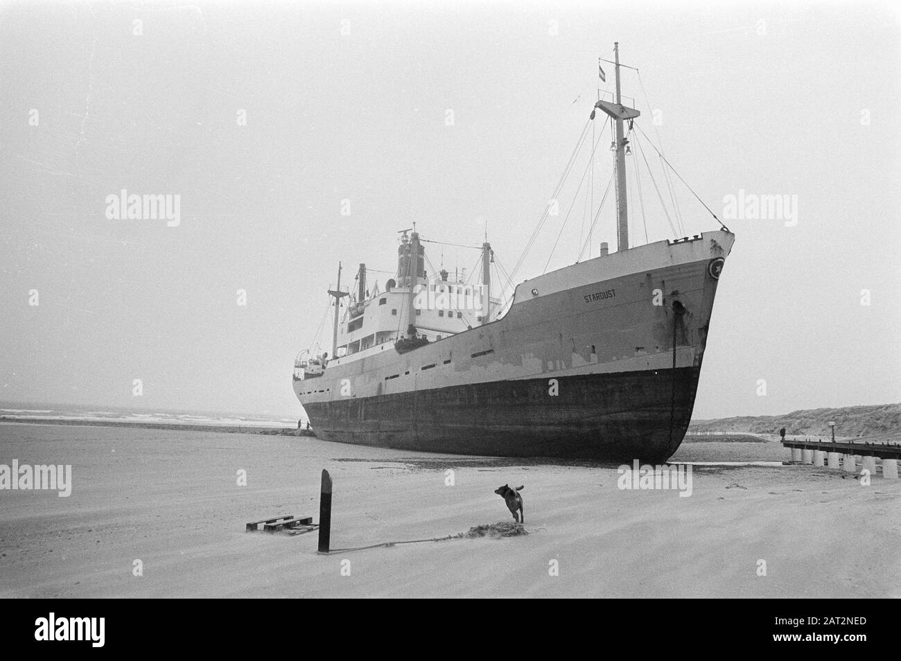 gestrandete-stardust-auf-s-gravenzande-de-stardust-am-strand-datum-9
