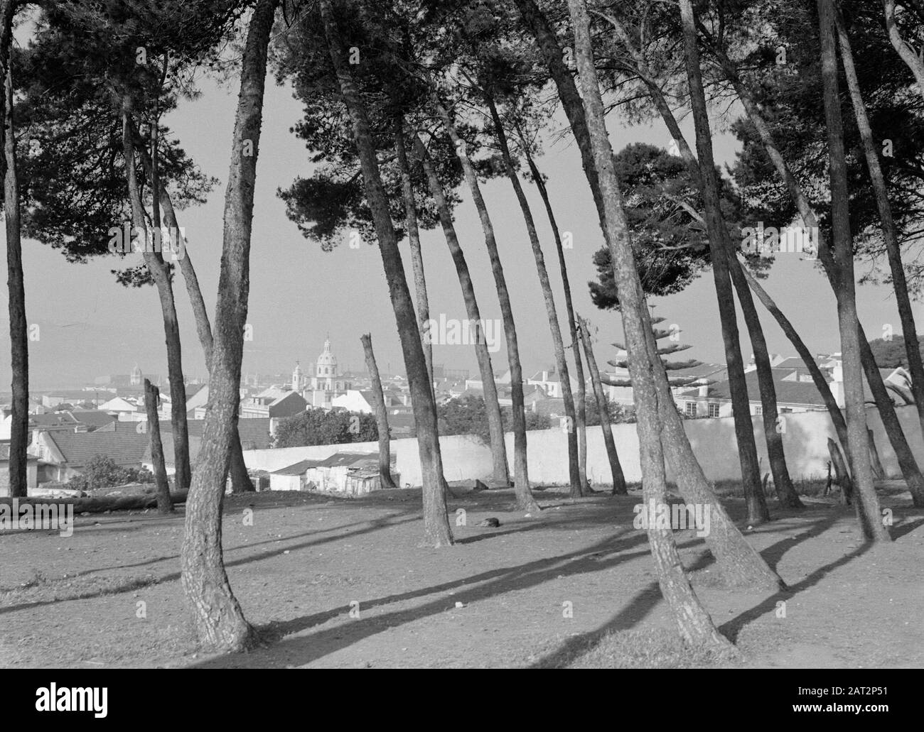 Seereise mit MS Baloeran Blick auf Lissabon von einem Hügel mit Kiefern [wahrscheinlich Castelo de São Jorge] Anmerkung: Dieses Foto ist Teil einer Reihe von Fotos einer Reise mit der MS Baloeran van de Rotterdam-Lloyd Datum: Mai 1935 Ort: Lissabon, Portugal Schlüsselwörter: Panoramas Stockfoto