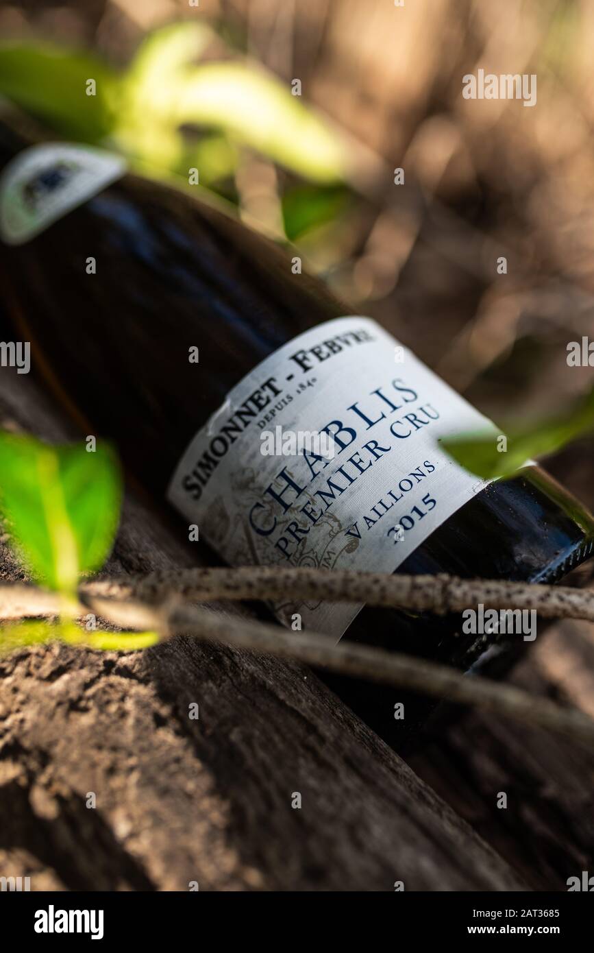 Chablis Flasche auf Baumzweig Stockfoto