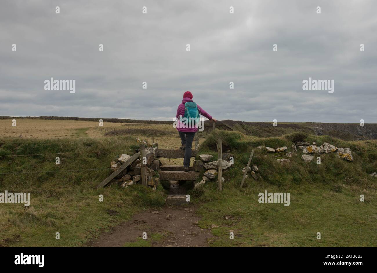 Female Walker Crossing a Stepping Stone Stile on the South West Coast Path Between Mullion Cove and Lizard Point in Rural Cornwall, England, Großbritannien Stockfoto