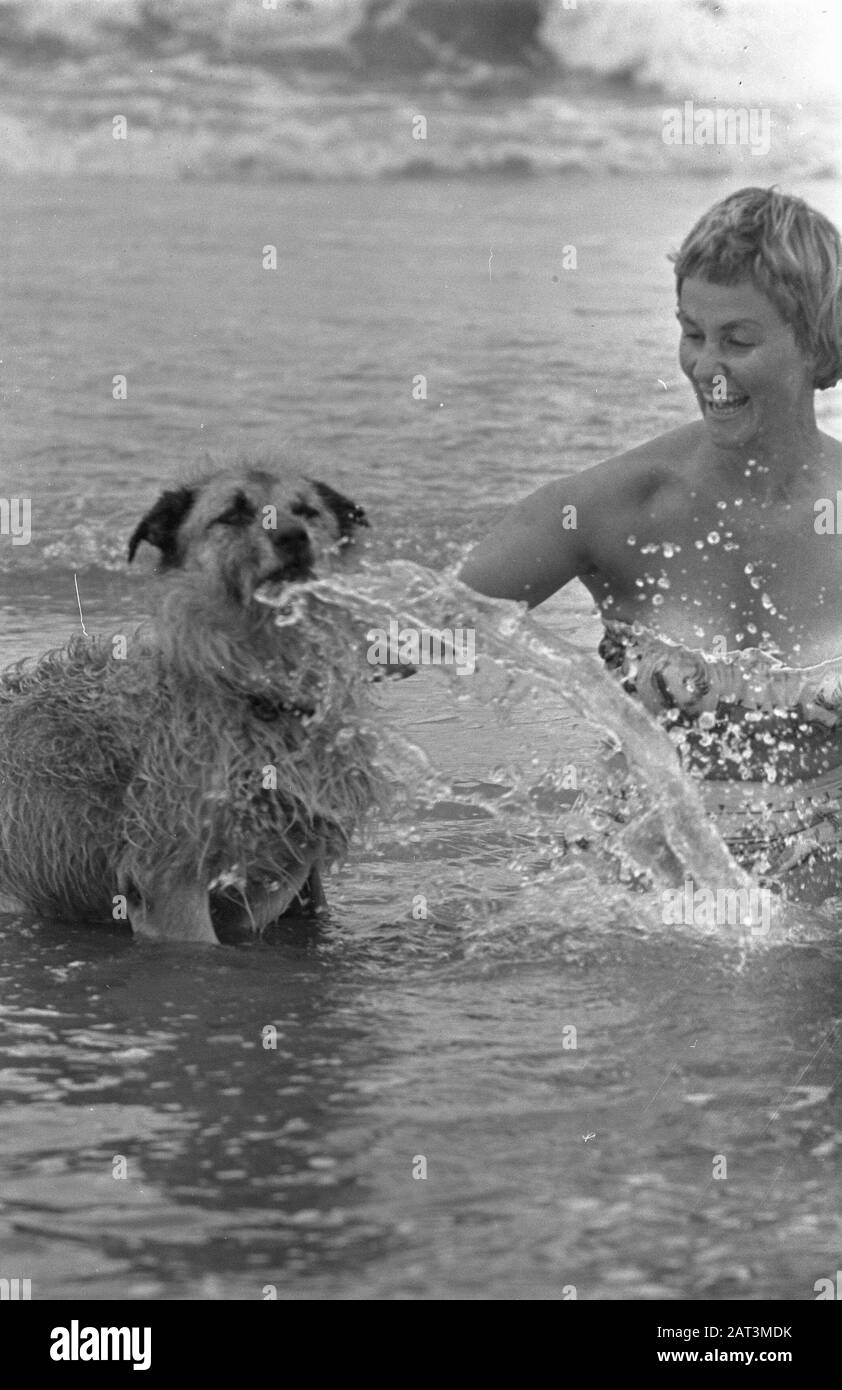 Hochsaison am niederländischen Strand. Frau mit Hund im Meer Datum: 13. Juli 1959 Schlüsselwörter: Badeorte, Hunde, Strände, Meer Stockfoto