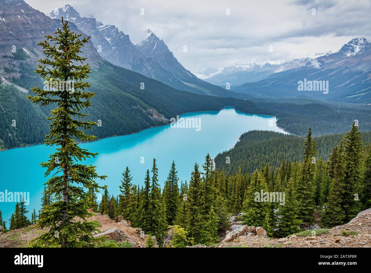 Peyto Lake Alberta Kanada Stockfoto