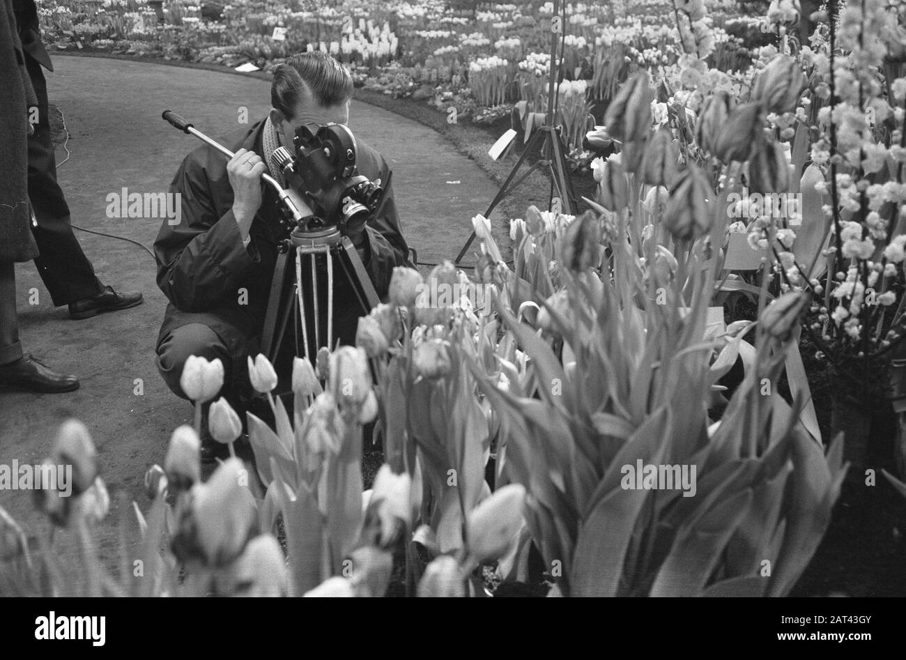 Westfriesischer Flora am Bovenkarspel, Frühling am Messetag: 21. Februar 1961 Standort: Bovenkarspel Schlüsselwörter: Name der Frühlingseinrichtung: Flora Stockfoto