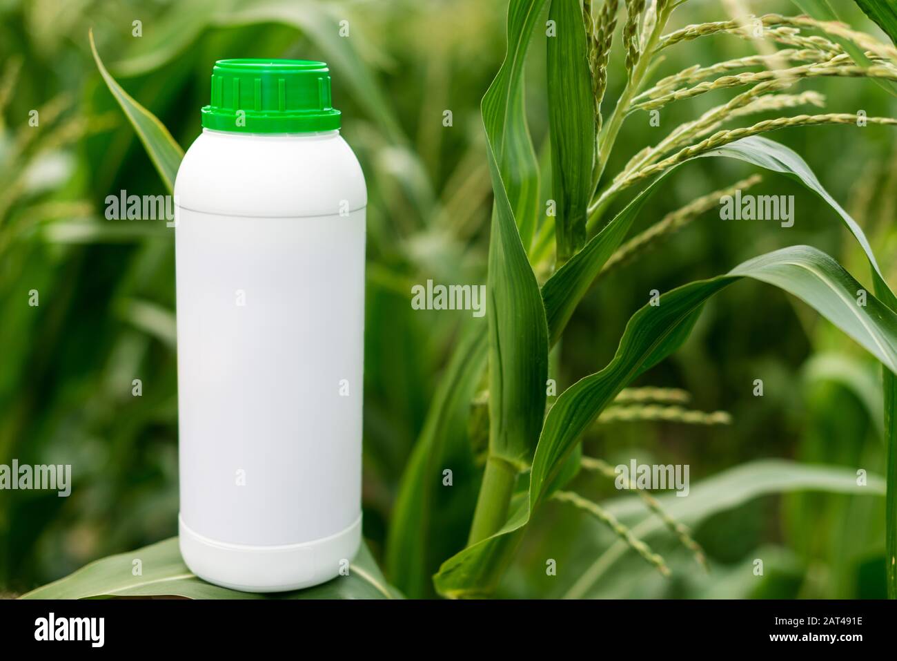 Closeup leere, nicht markierte Flasche als Mockup-Kopierraum für Herbizid, Fungizid oder Insektizid.- Bild Stockfoto