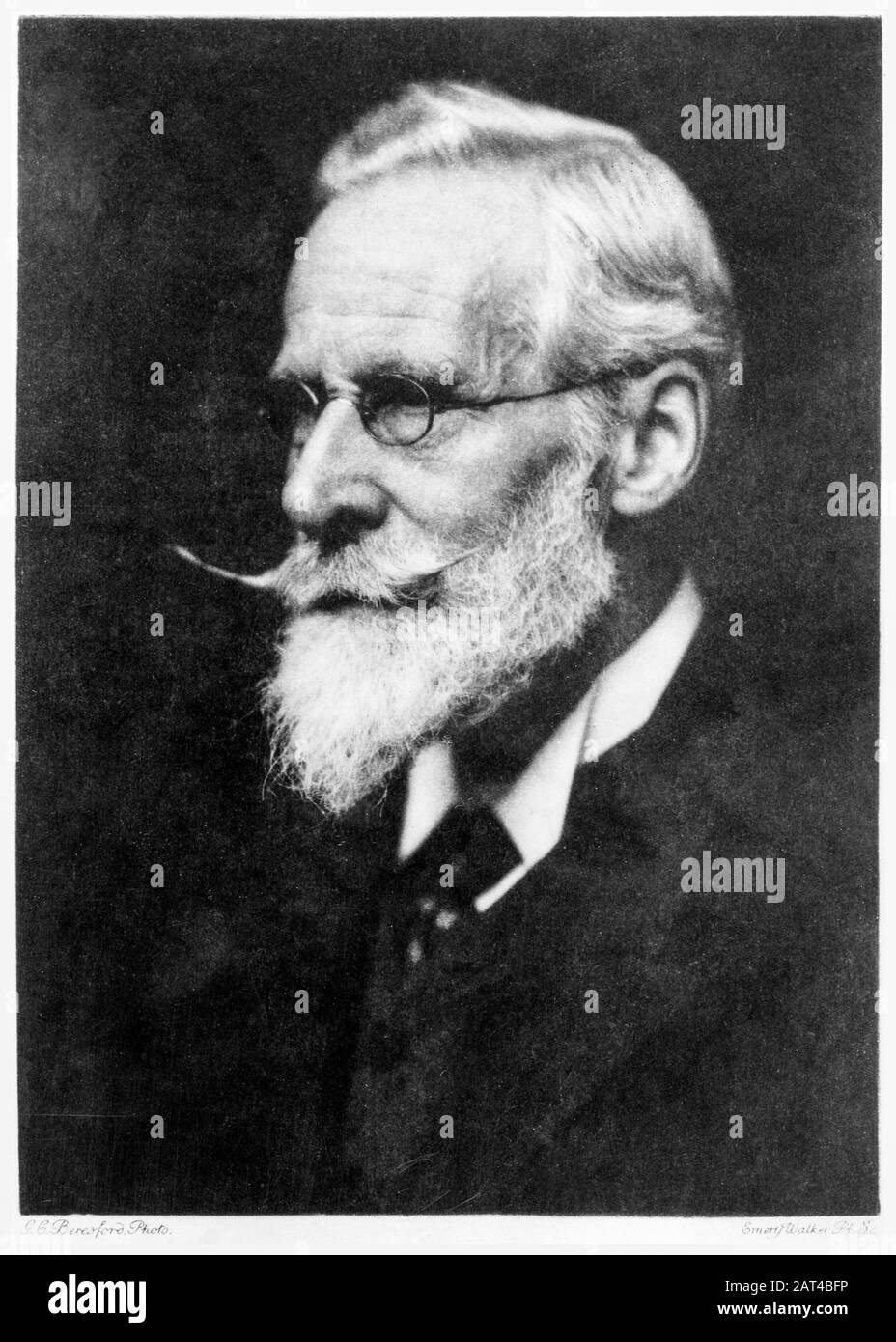 Sir William Crookes (1832-1919), britischer Chemie und Physiker, Porträtfoto, vor dem Jahr 1919 Stockfoto