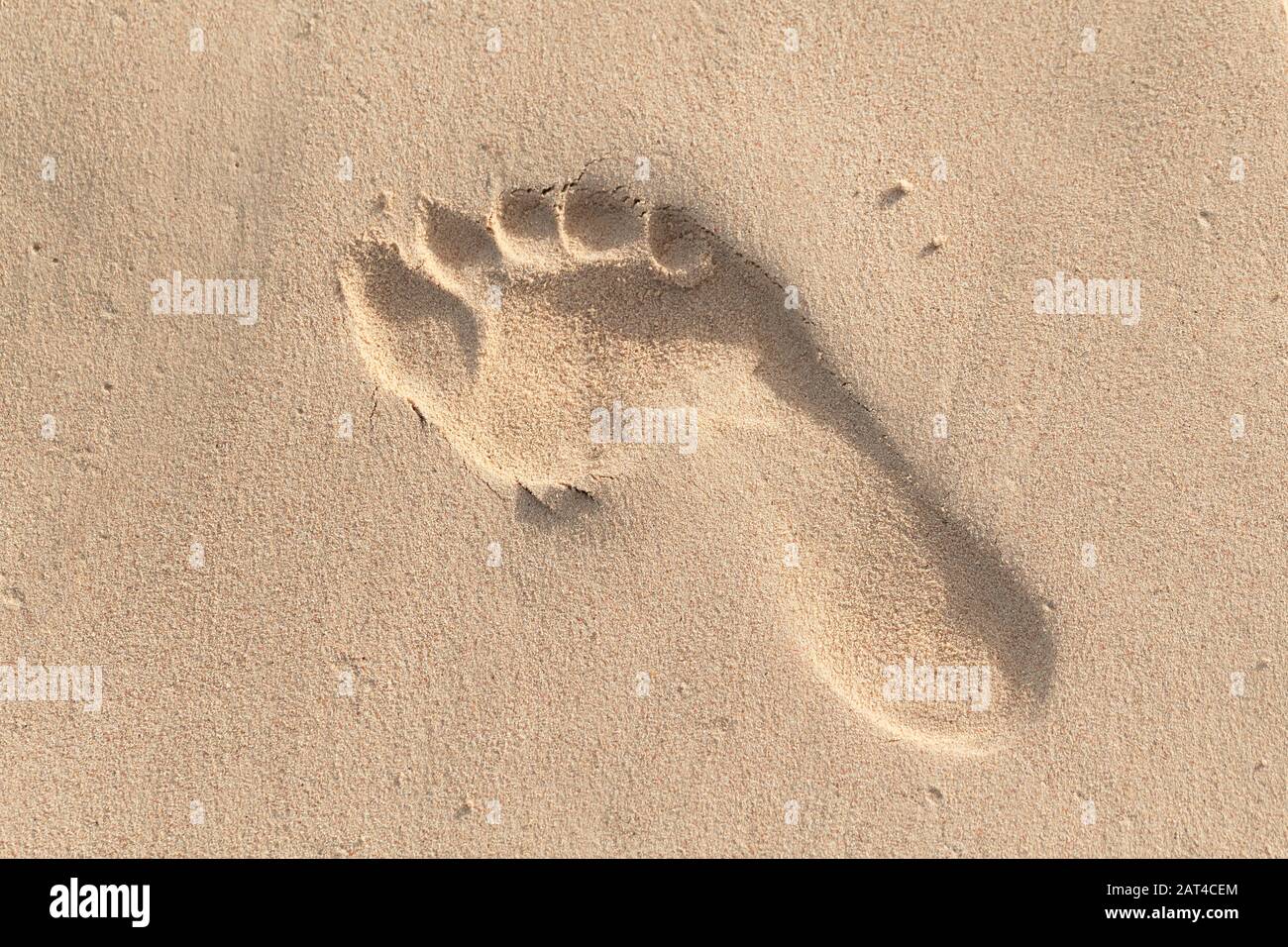 Der menschliche Fußabdruck befindet sich in nassem Sand am Strand Stockfoto