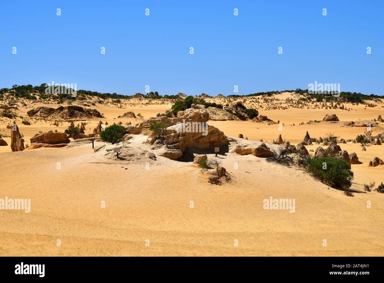 Australien, WA, die Pinnacles im Nambung Nationalpark, bevorzugte touristische Attraktion und natürliche Sehenswürdigkeiten Stockfoto