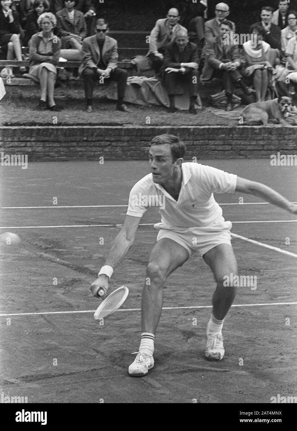 Tennis in Hilversum, Niederlande (1965 Dutch Open), australischer Tennisspieler John Newcombe im Einsatz gegen CooperNederlands: Original: Tennis te Hilversum, Newcomb in acie tegen Cooper; Stockfoto