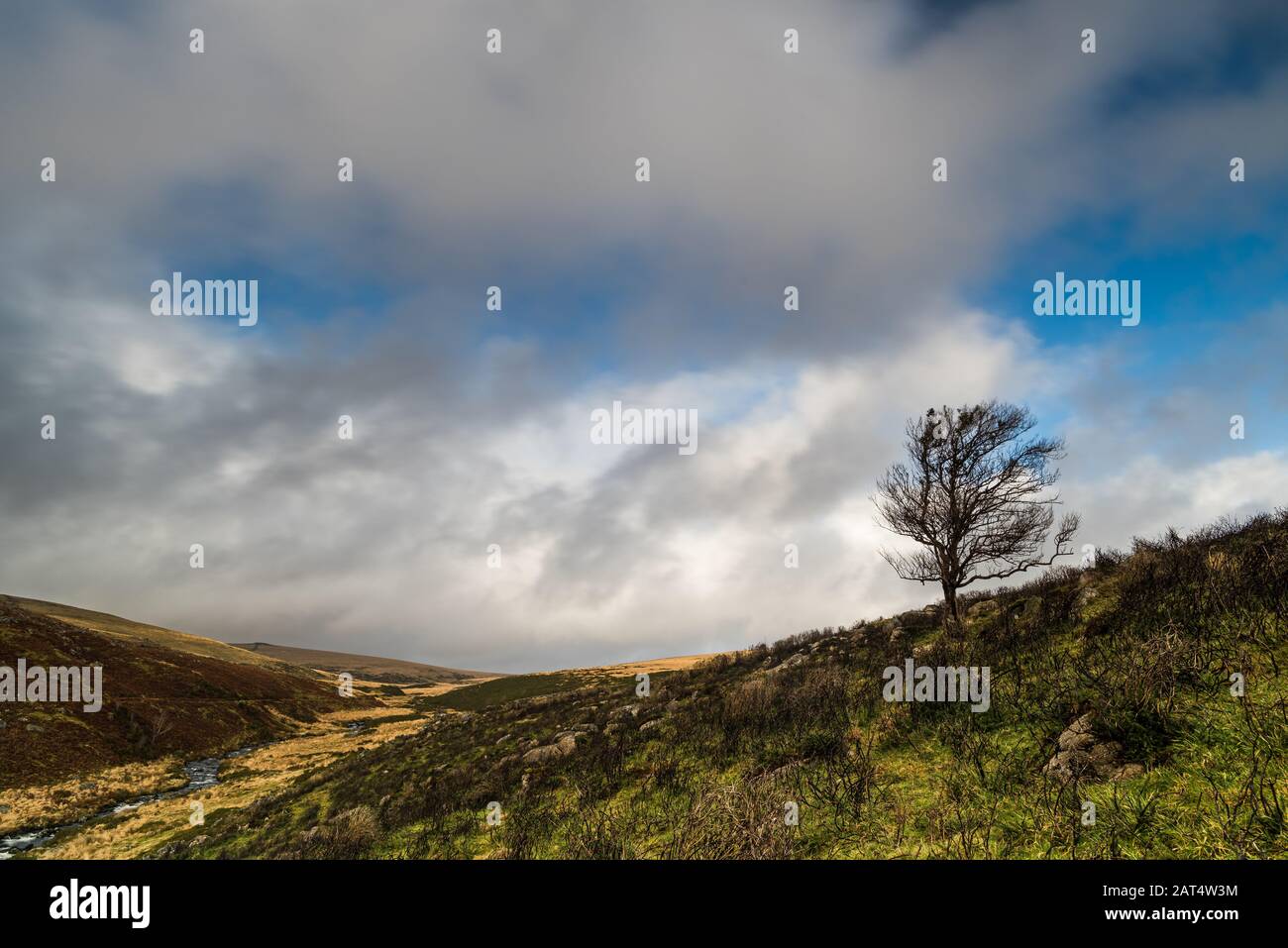 East Dart River Valley Stockfoto