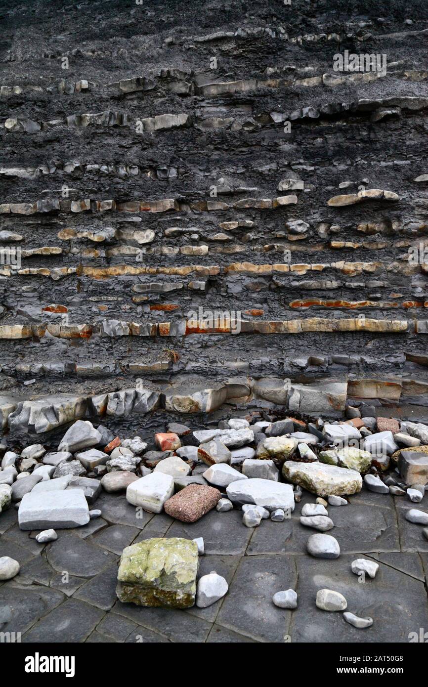 Untere Schichten aus Lias Kalksteinen und Schiefergestein und Kalksteinpflaster auf Vorland am Lavernock Point, South Glamorgan, Wales, Großbritannien Stockfoto