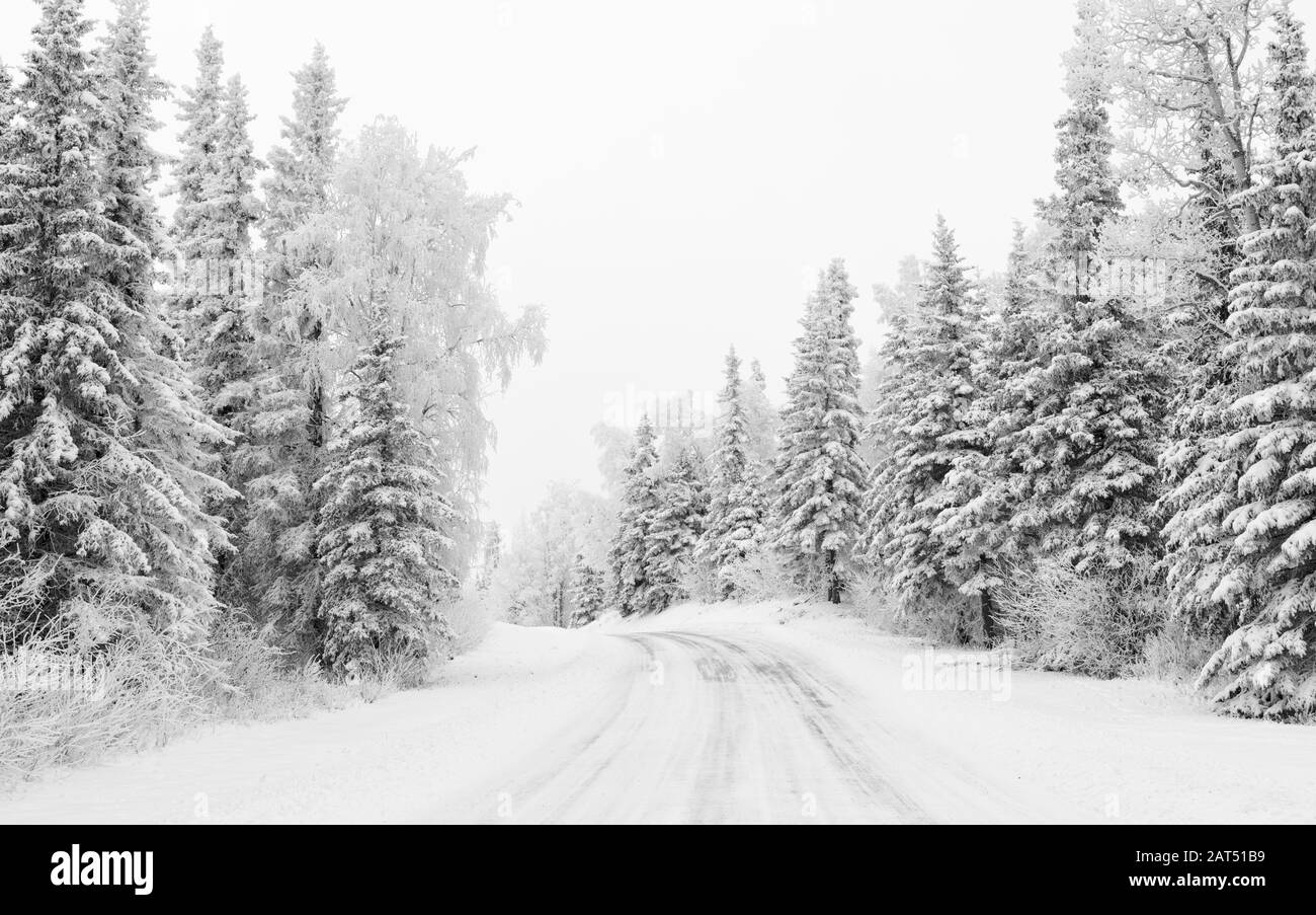 Mit Hoarfrost bedeckte Bäume säumen die schneebedeckte Straße im Süden Alaskas. Stockfoto