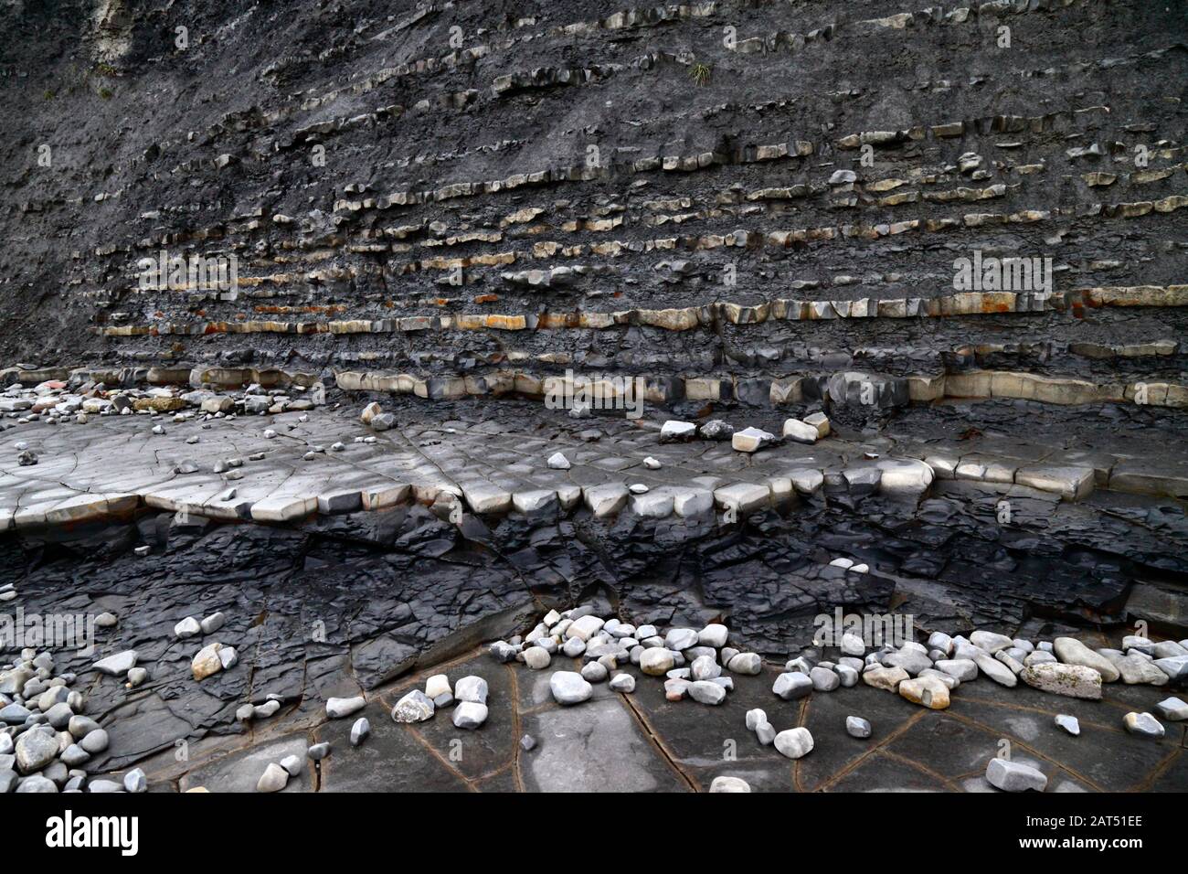 Untere Schichten aus Lias Kalksteinen und Schiefergestein und Kalksteinpflaster auf Vorland am Lavernock Point, South Glamorgan, Wales, Großbritannien Stockfoto