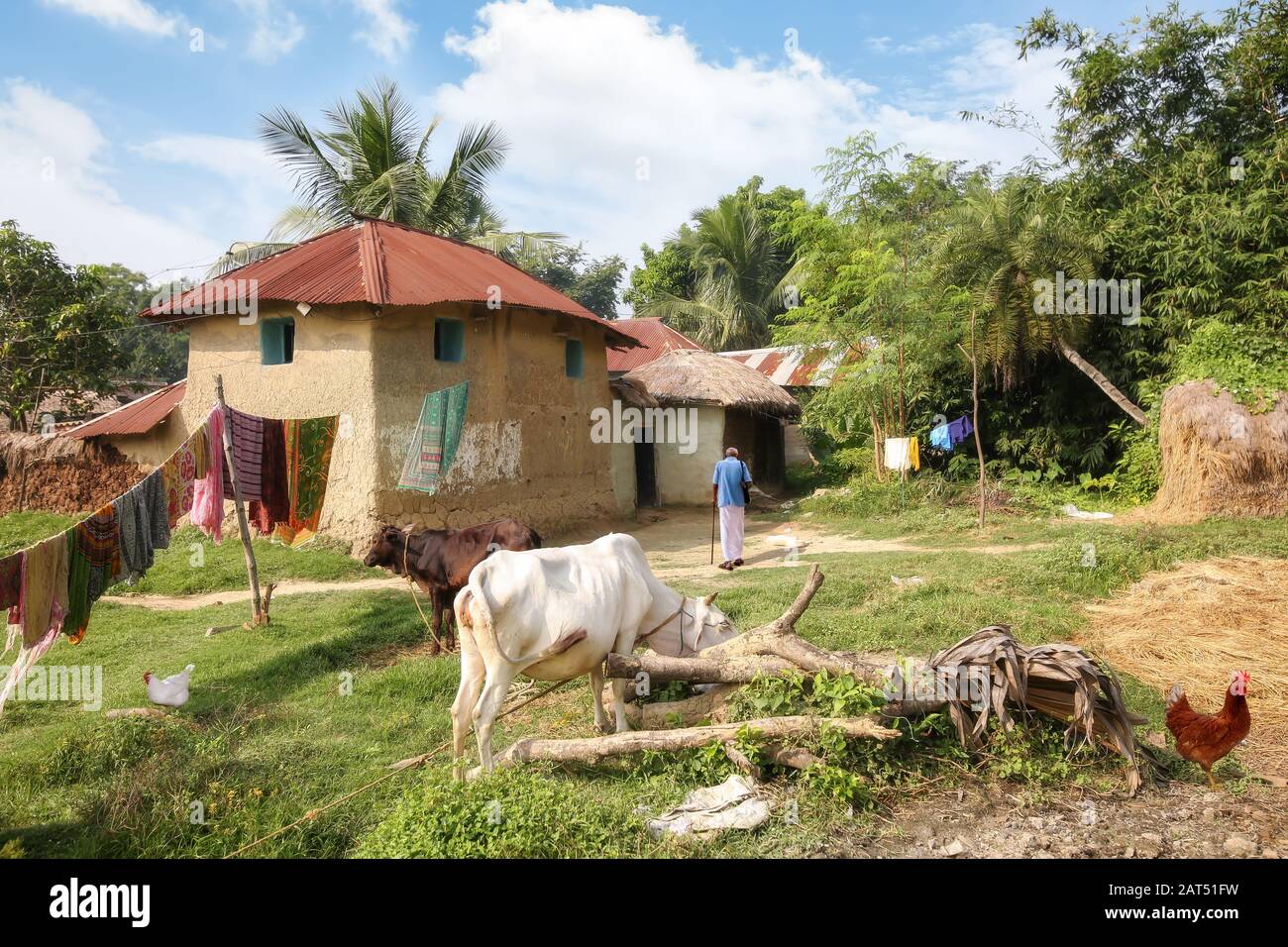 Ländliche indische Dorfszene mit Blick auf Lehmhäuser Hütten und Dorfvieh in einem Stammesdorf in Westbengalen, Indien Stockfoto