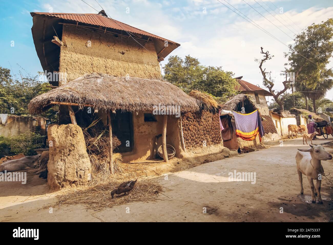 Ländliches indisches Dorf in Bolpur Westbengalen mit Blick auf Schlammhütte und unbefestigte Dorfstraße mit Haustieren am Straßenrand Stockfoto