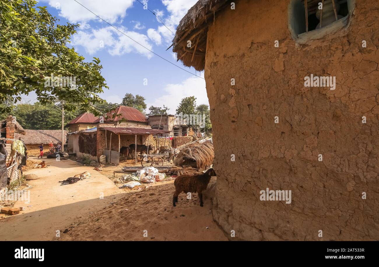 Ländliches indisches Dorf in Bolpur Westbengalen mit Blick auf Schlammhütte und unbefestigte Dorfstraße mit Haustieren am Straßenrand Stockfoto