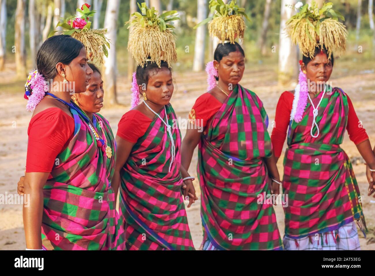 Indianische Stammesfrauen führen in einem Waldgebiet in Bolpur Shantiniketan, Westbengalen, Volkstanz auf Stockfoto