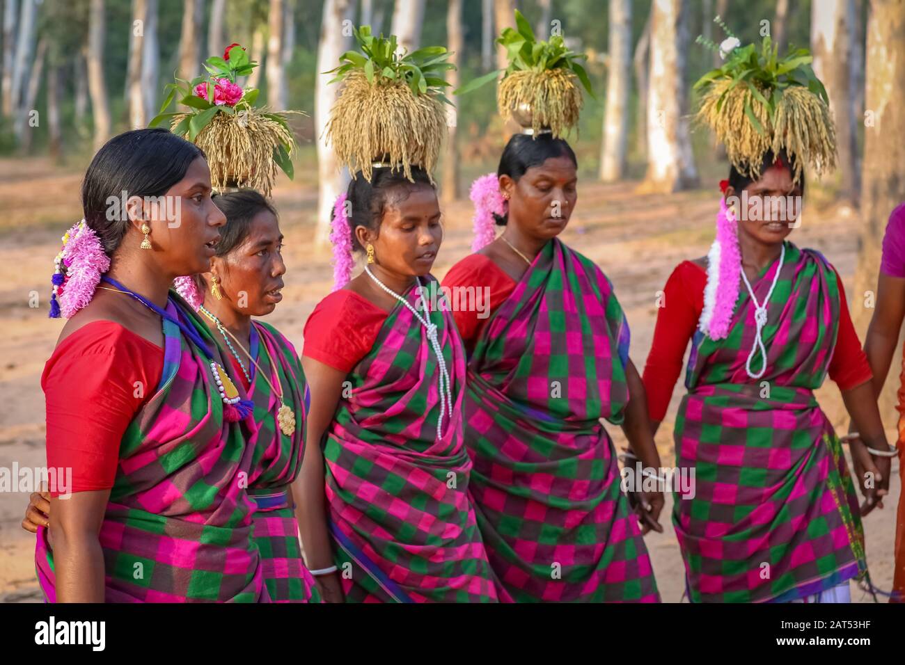 Indianische Stammesfrauen führen in einem Waldgebiet in Bolpur Shantiniketan, Westbengalen, Volkstanz auf Stockfoto