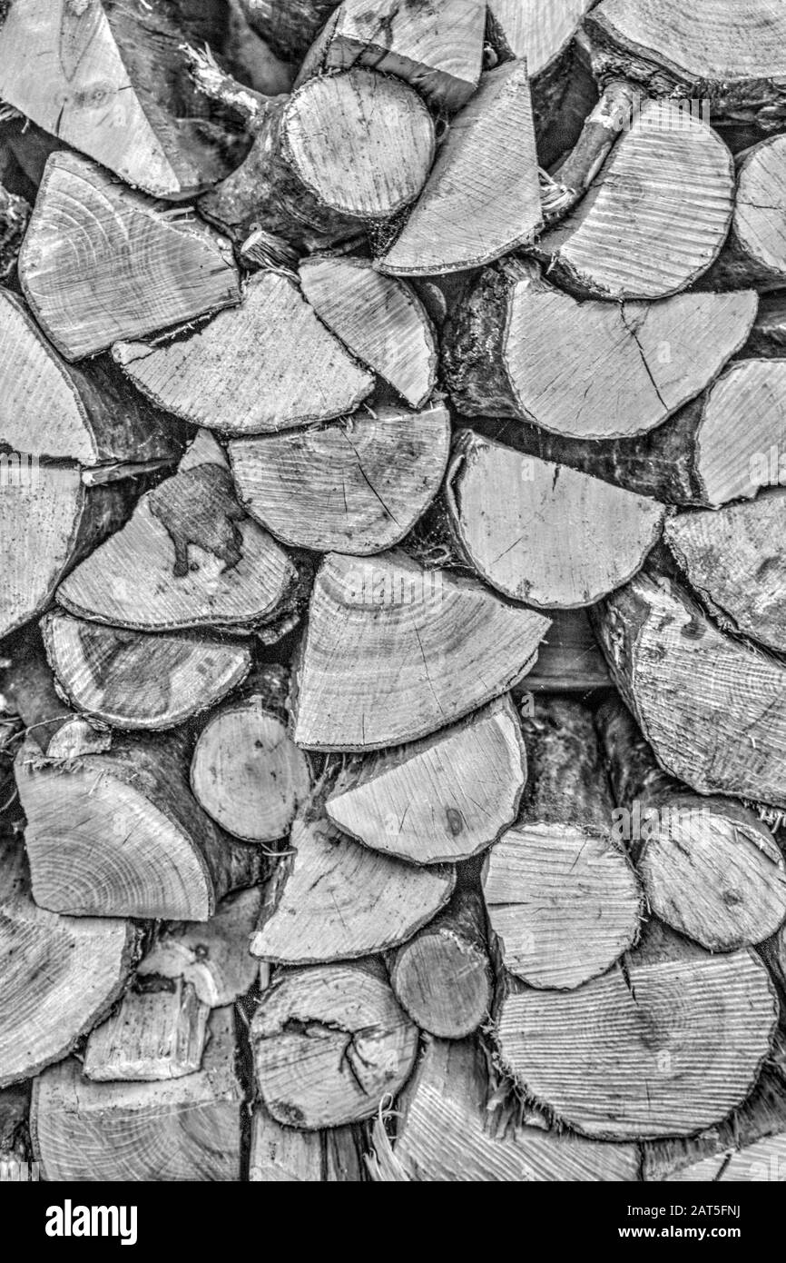Hintergrund von frisch geschnittenes Holz in schwarz-weiß Stockfoto