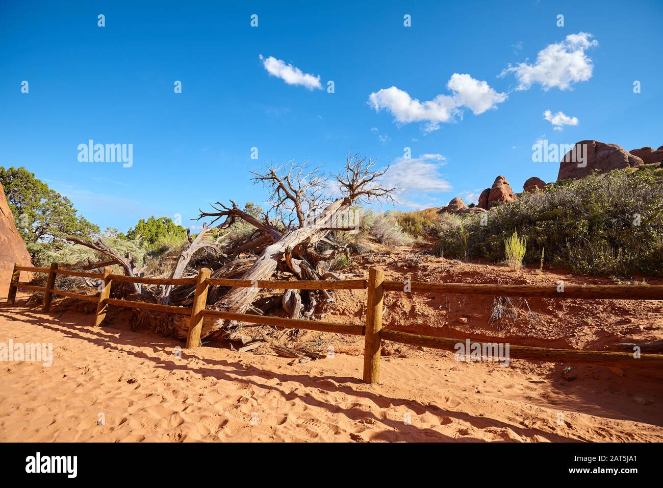 Wanderweg im Arches National Park, Utah, USA. Stockfoto