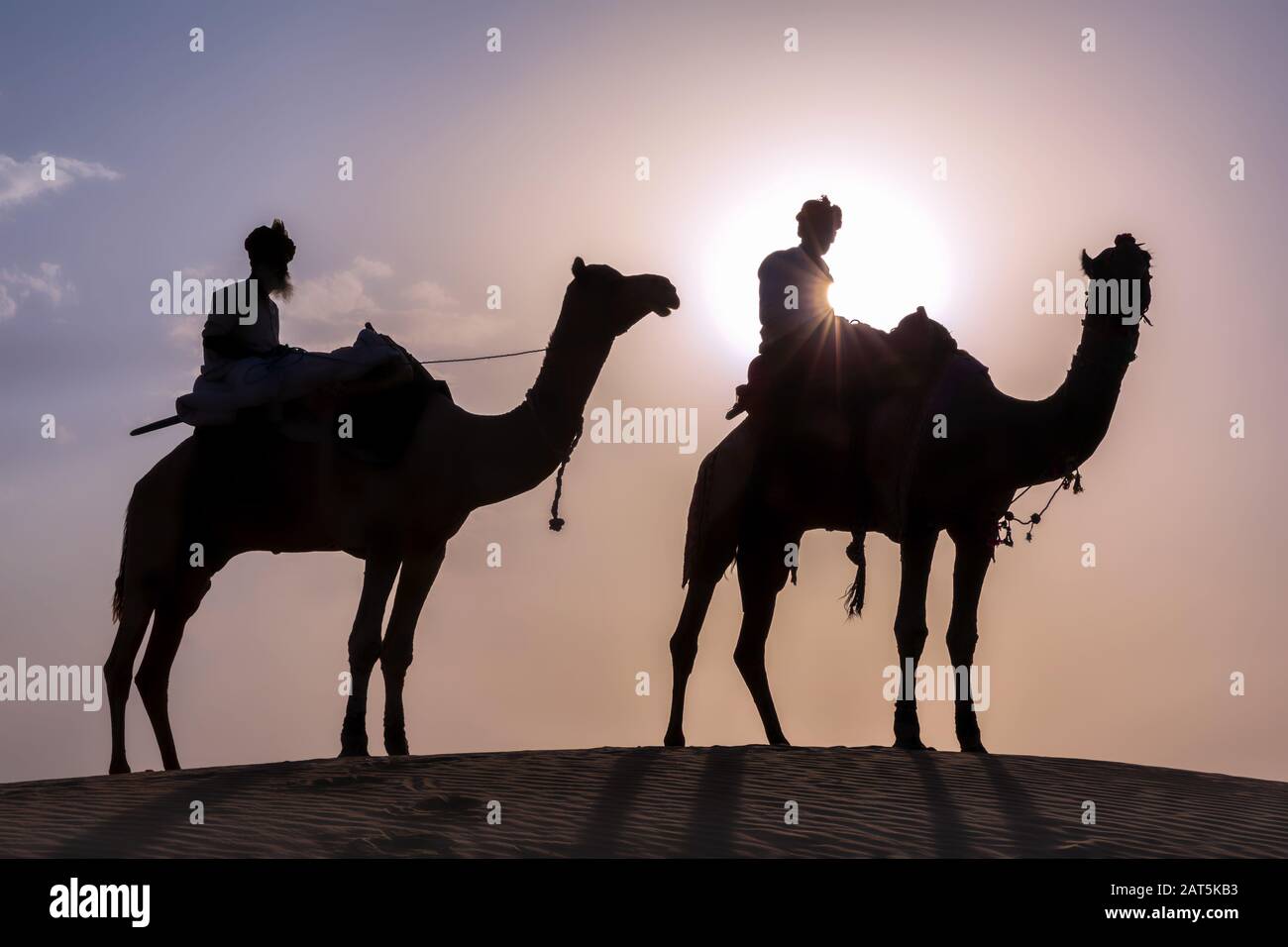 Silhouette von Männern auf Kamelen, Wüste Thar, Rajasthan, Indien Stockfoto