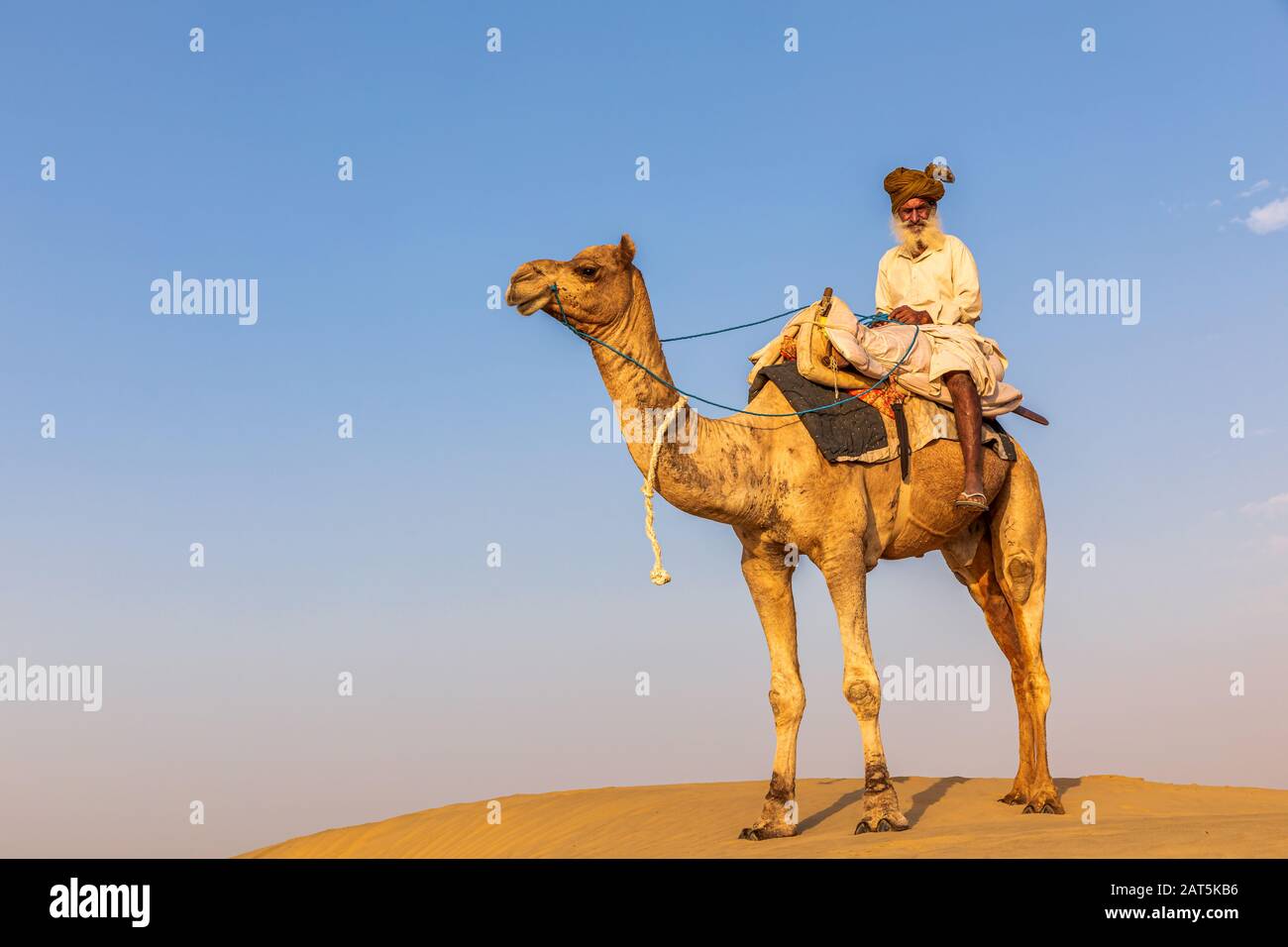 Ein alter Mann mit seinem Kamel, Thar-Wüste, Rajasthan, Indien Stockfoto