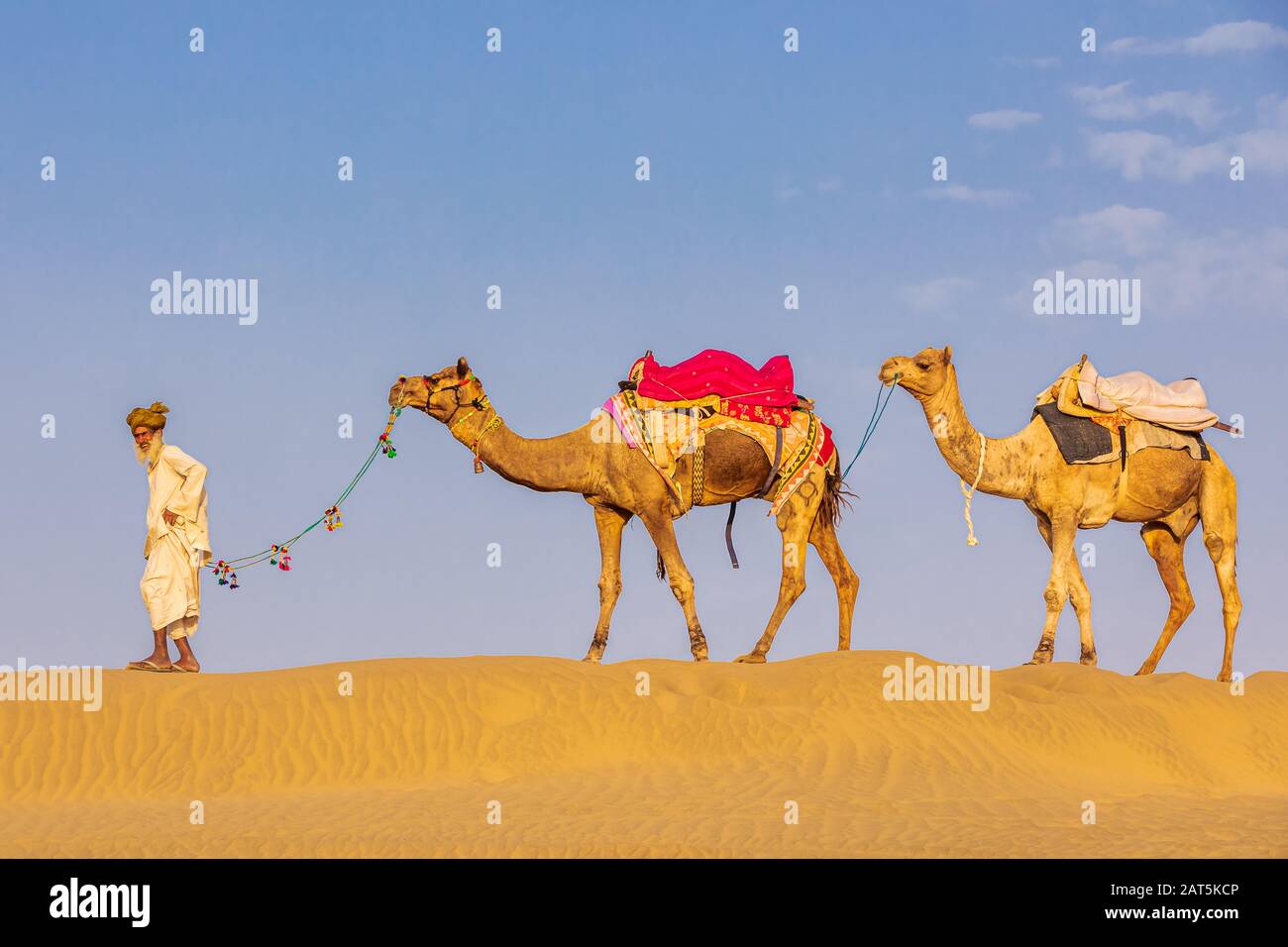 Ein alter Mann mit seinem Kamele, Wüste Thar, Rajasthan, Indien Stockfoto